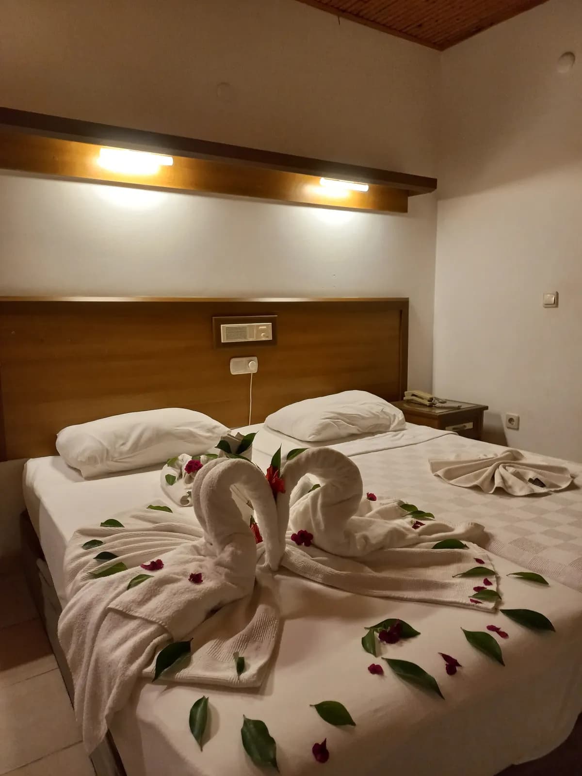 Saritas Hotel - photo 2