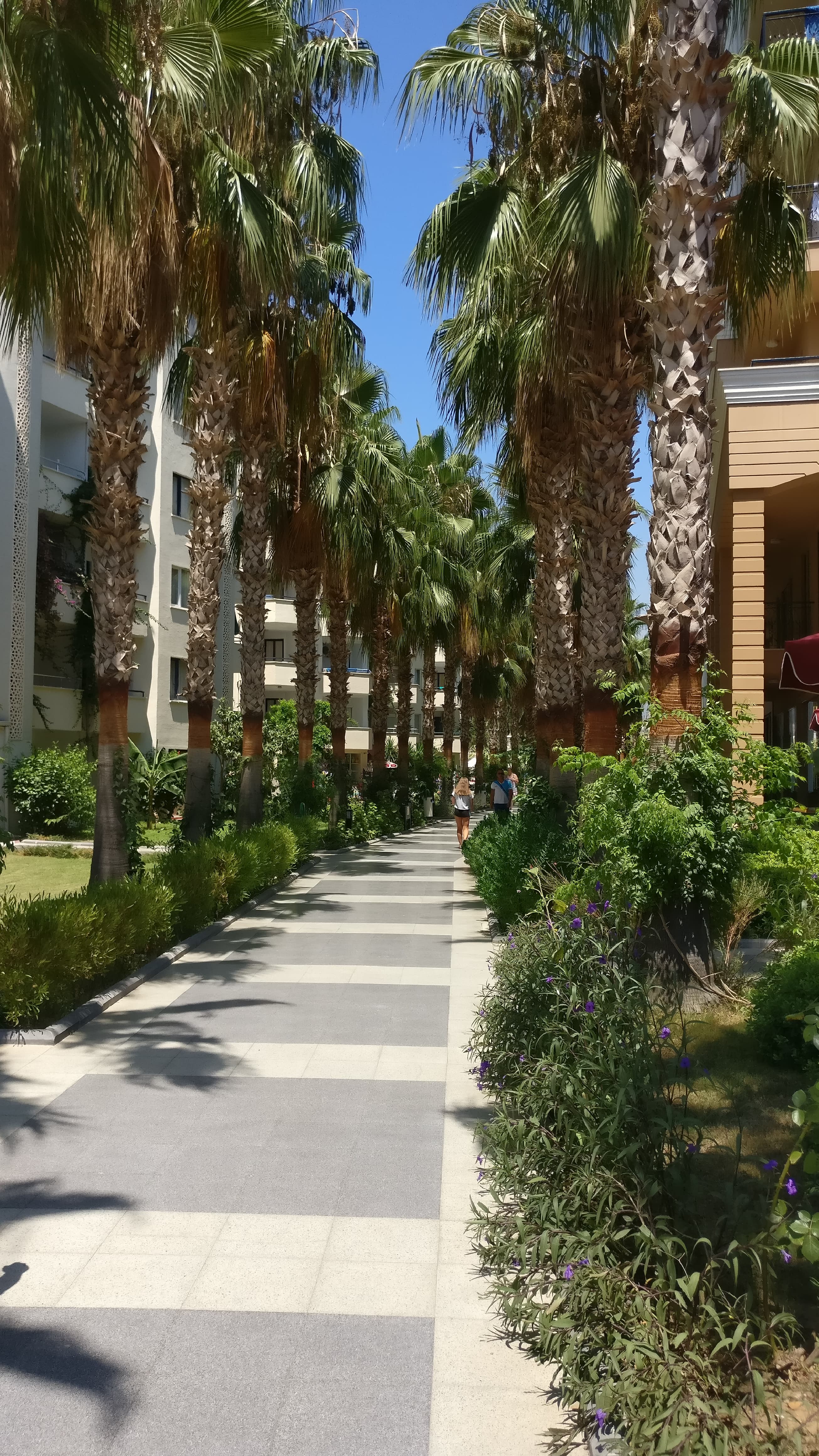 Sunside Beach Hotel - photo 10