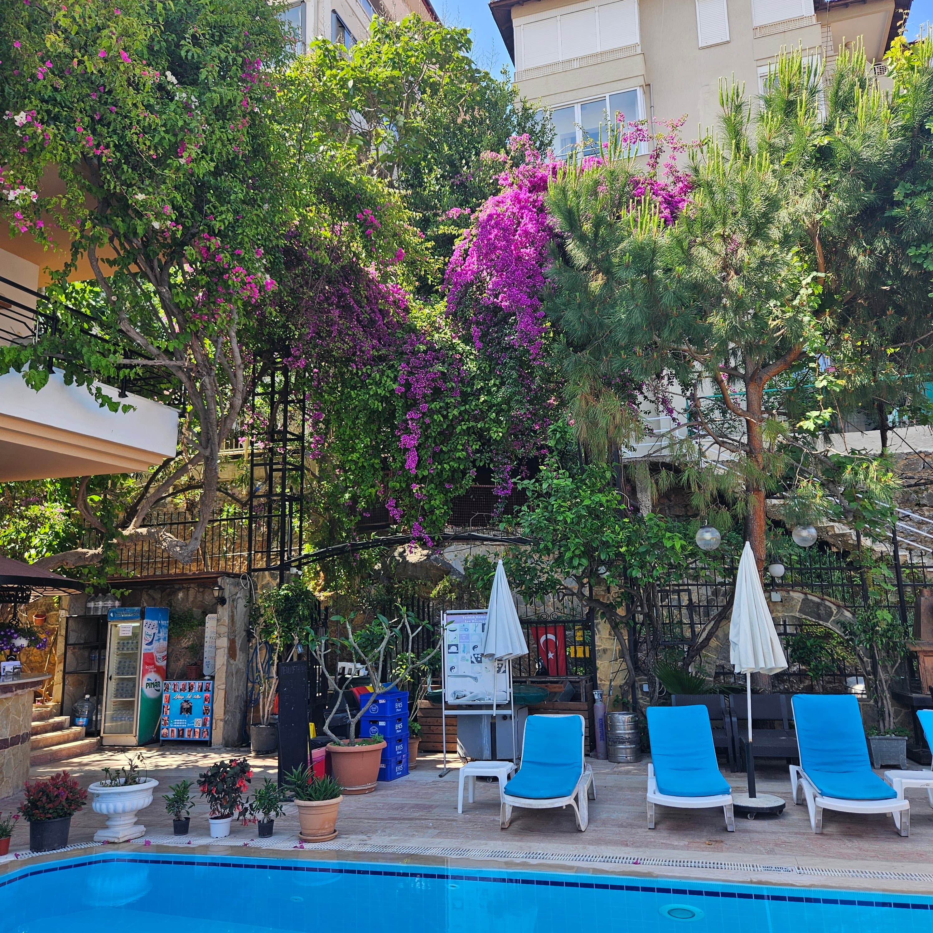 Villa Sonata Apart Hotel - photo 9