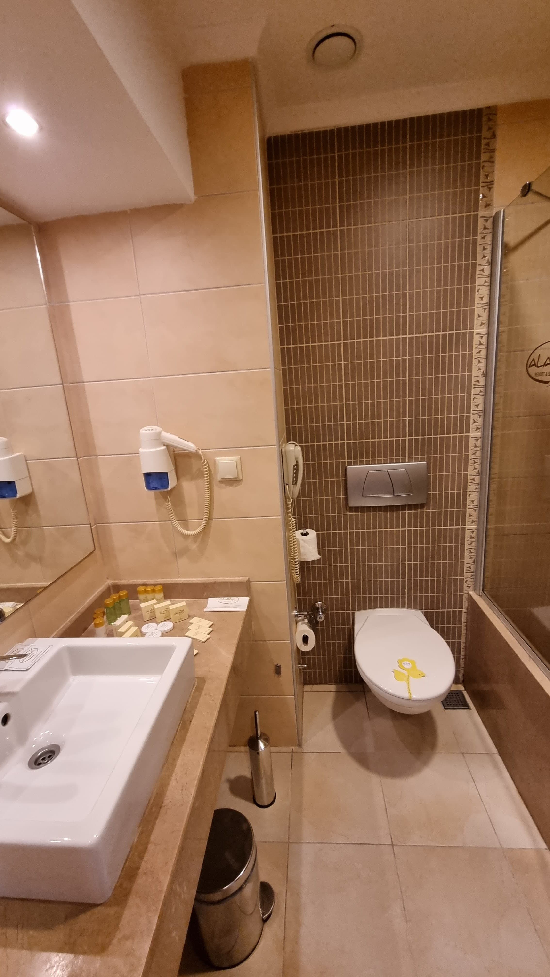 Alaiye Resort & Spa Hotel - photo 4