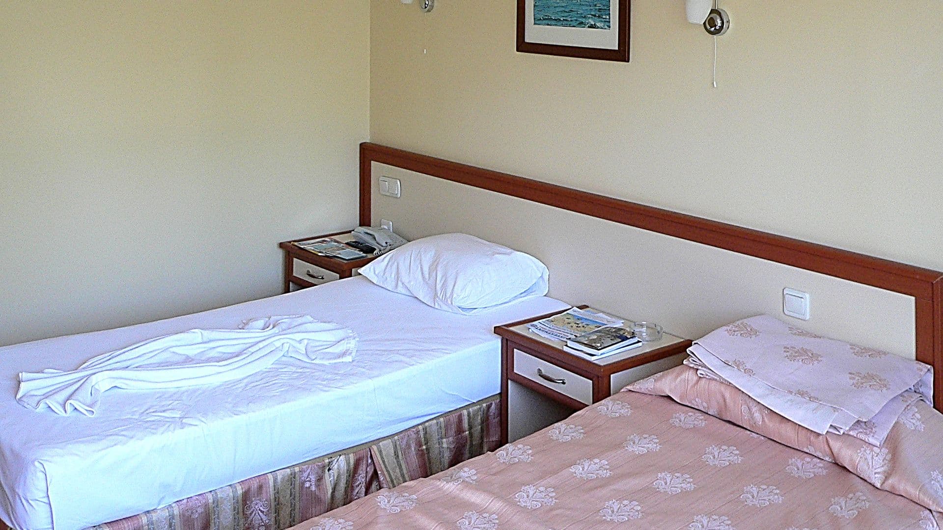 Aska Baran Hotel - photo 2