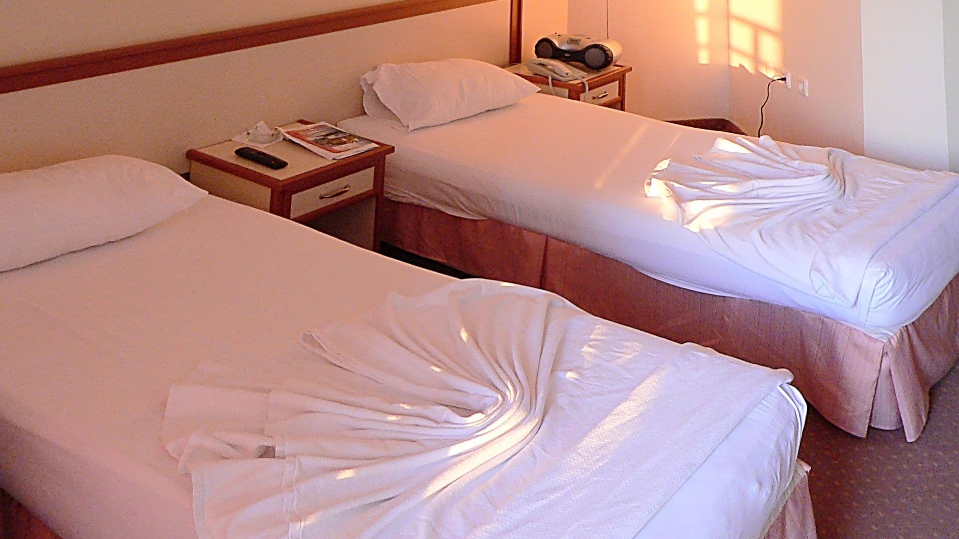 Aska Baran Hotel - photo 6