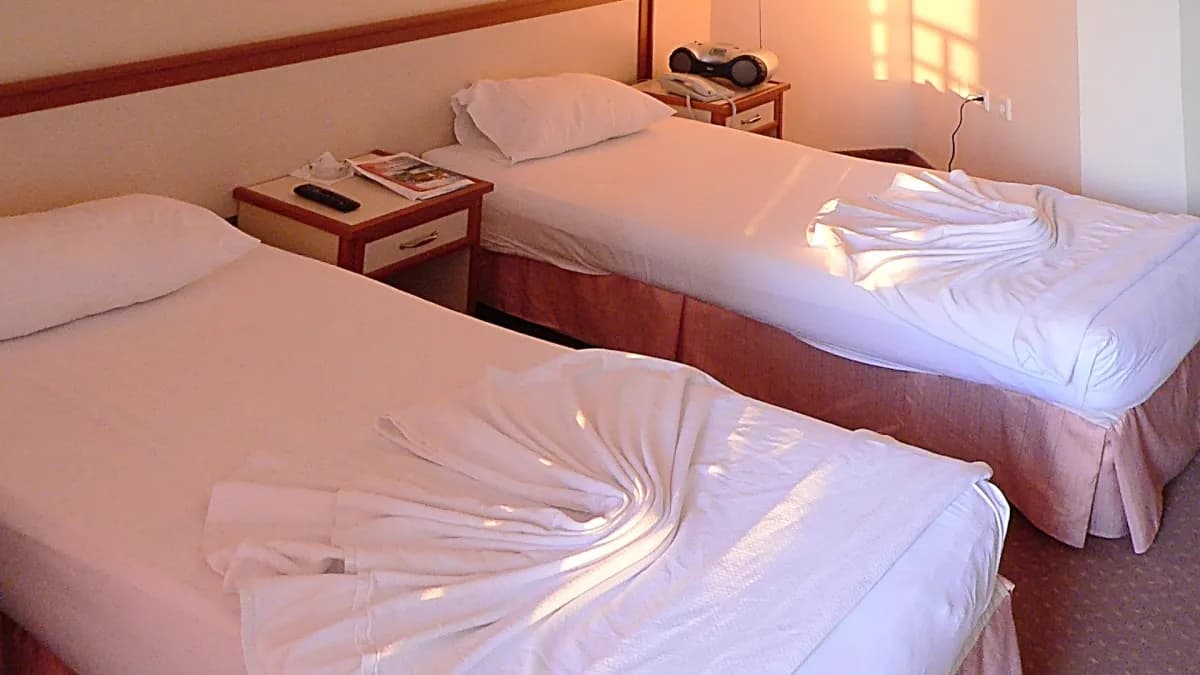 Aska Baran Hotel - photo 6
