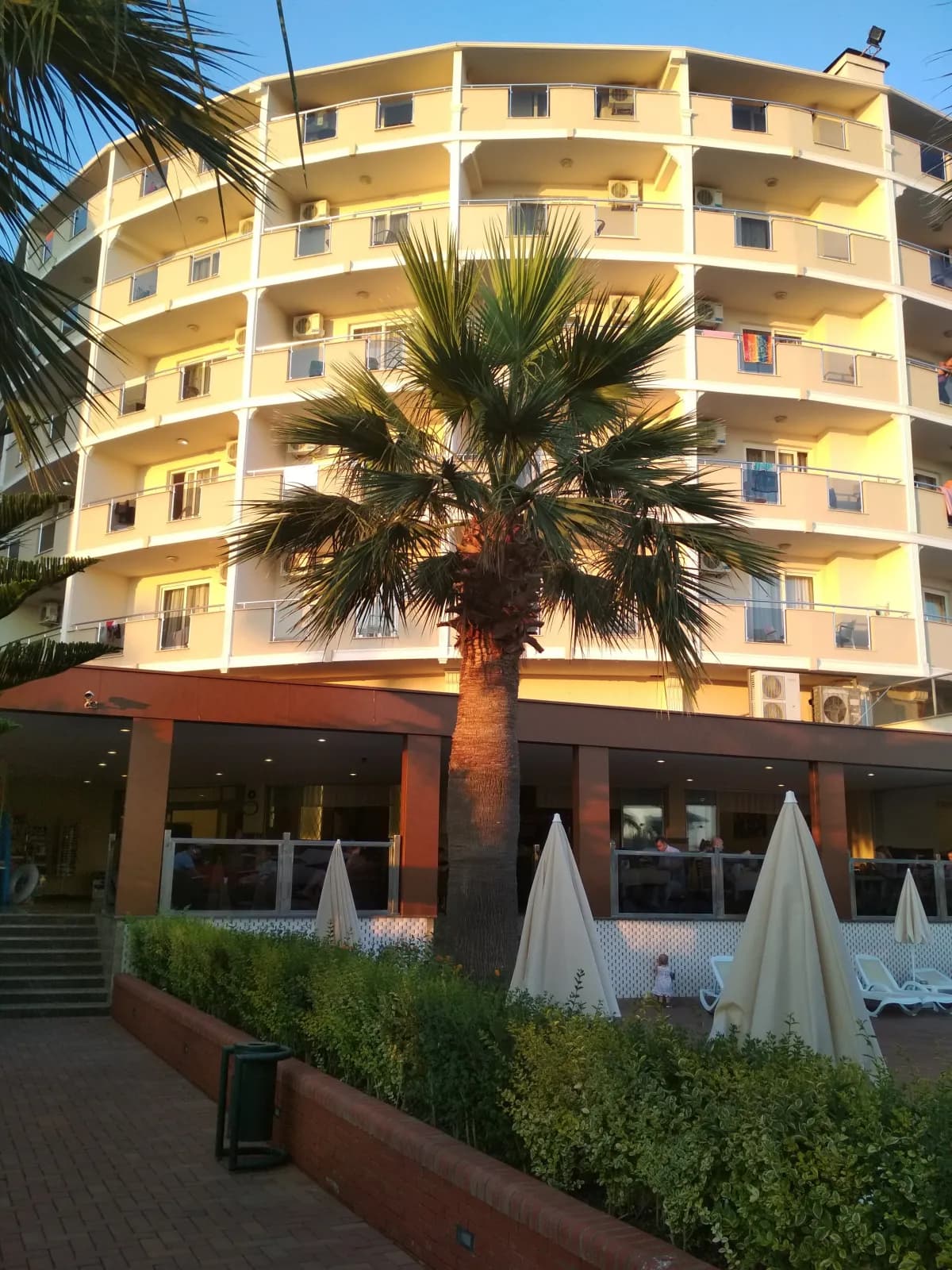 Lioness Hotel - photo 10