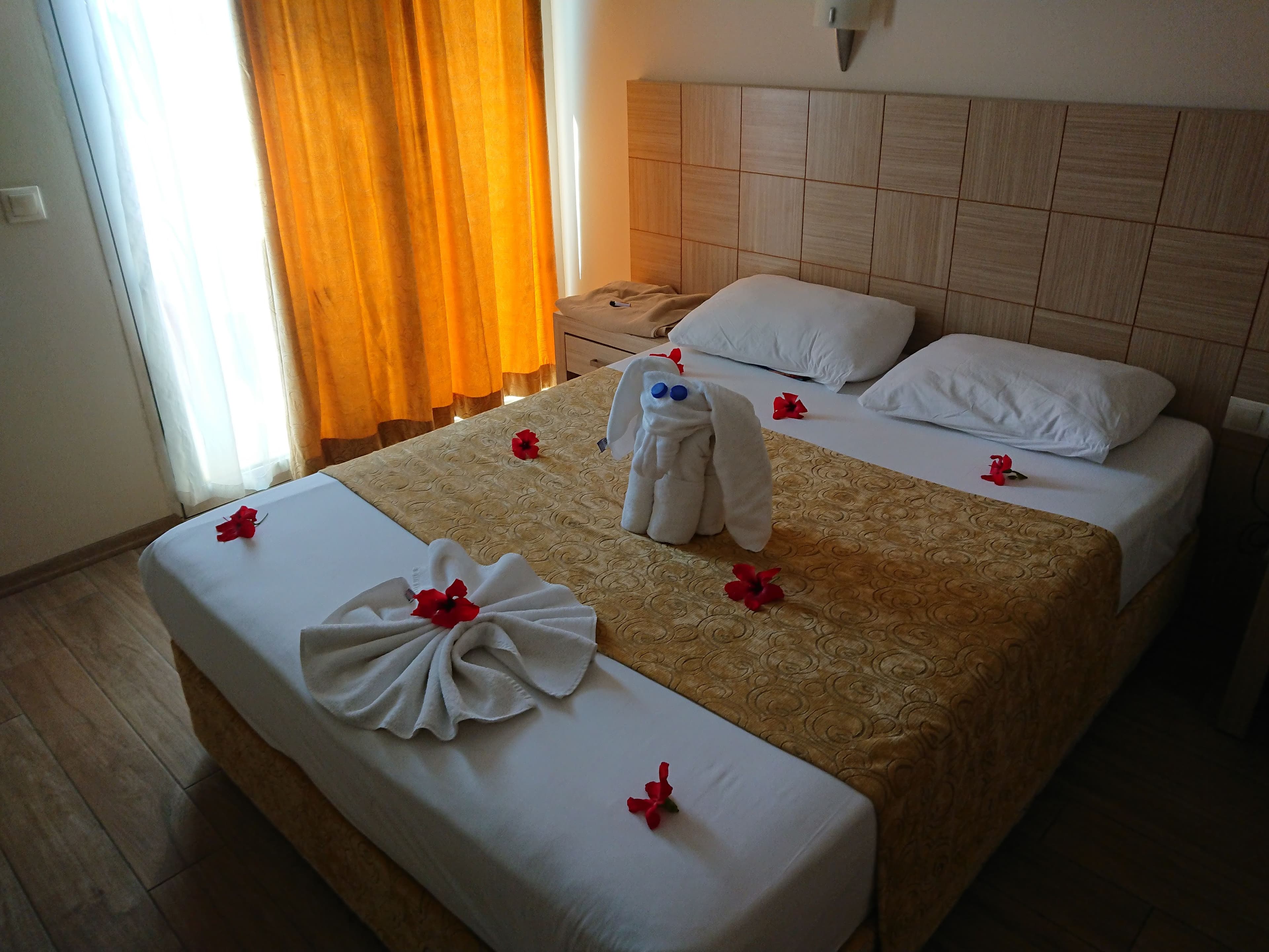 Anitas - photo 2