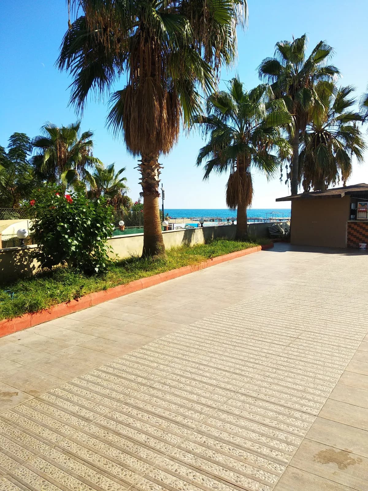 Club Tess Hotel - photo 10