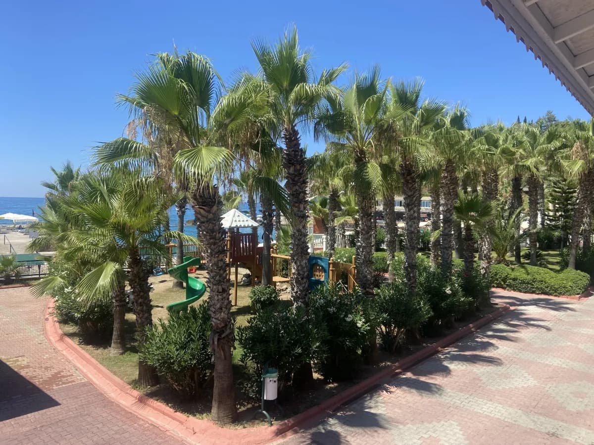 Kemal Bay Otel - photo 10