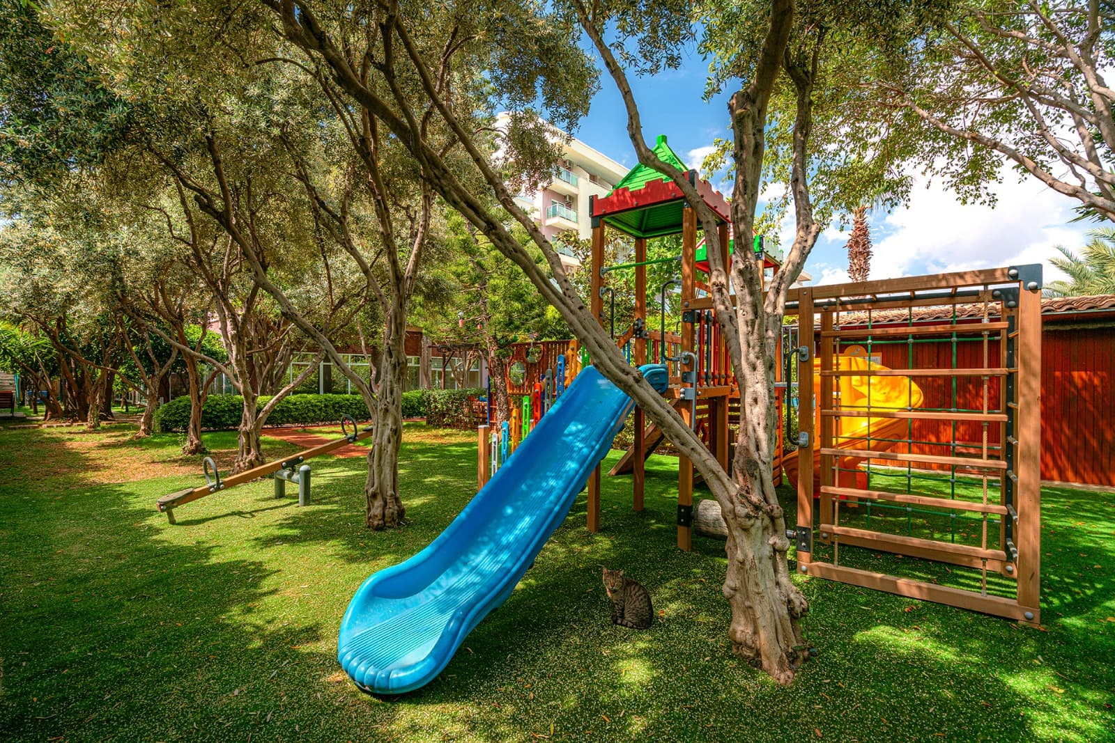 Telatiye Resort Hotel - photo 4
