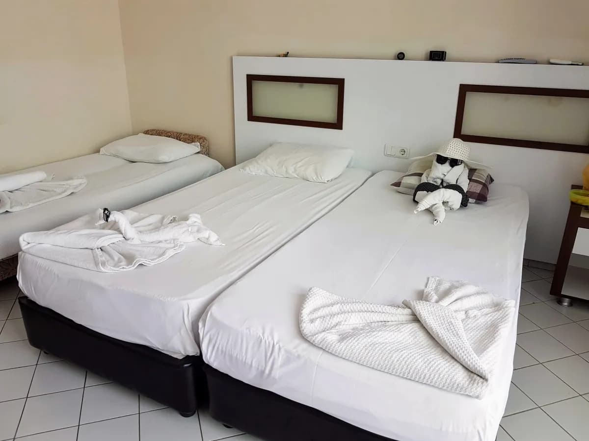 Bariscan Hotel - photo 2