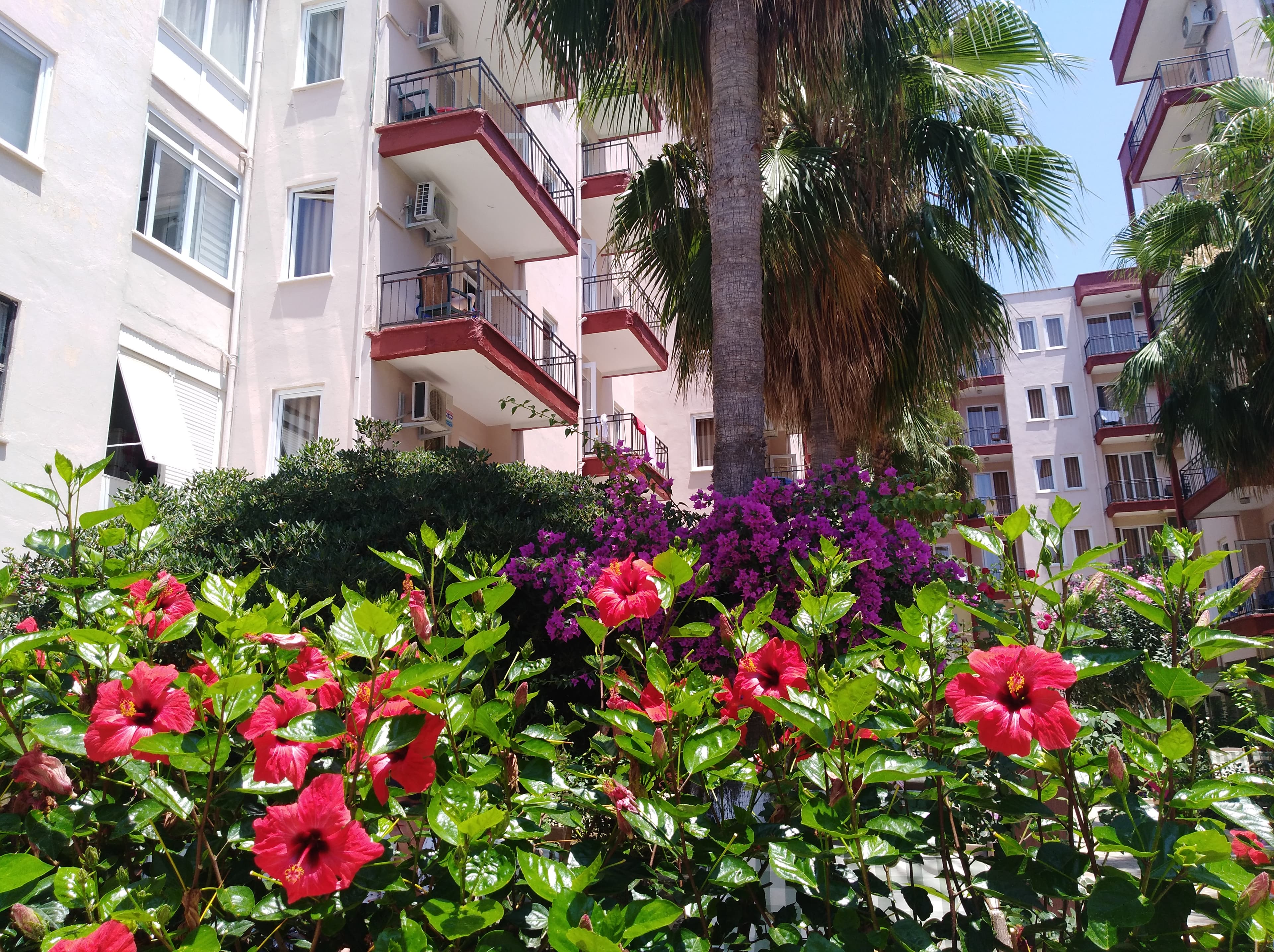 Grand Beach Hotel - photo 10