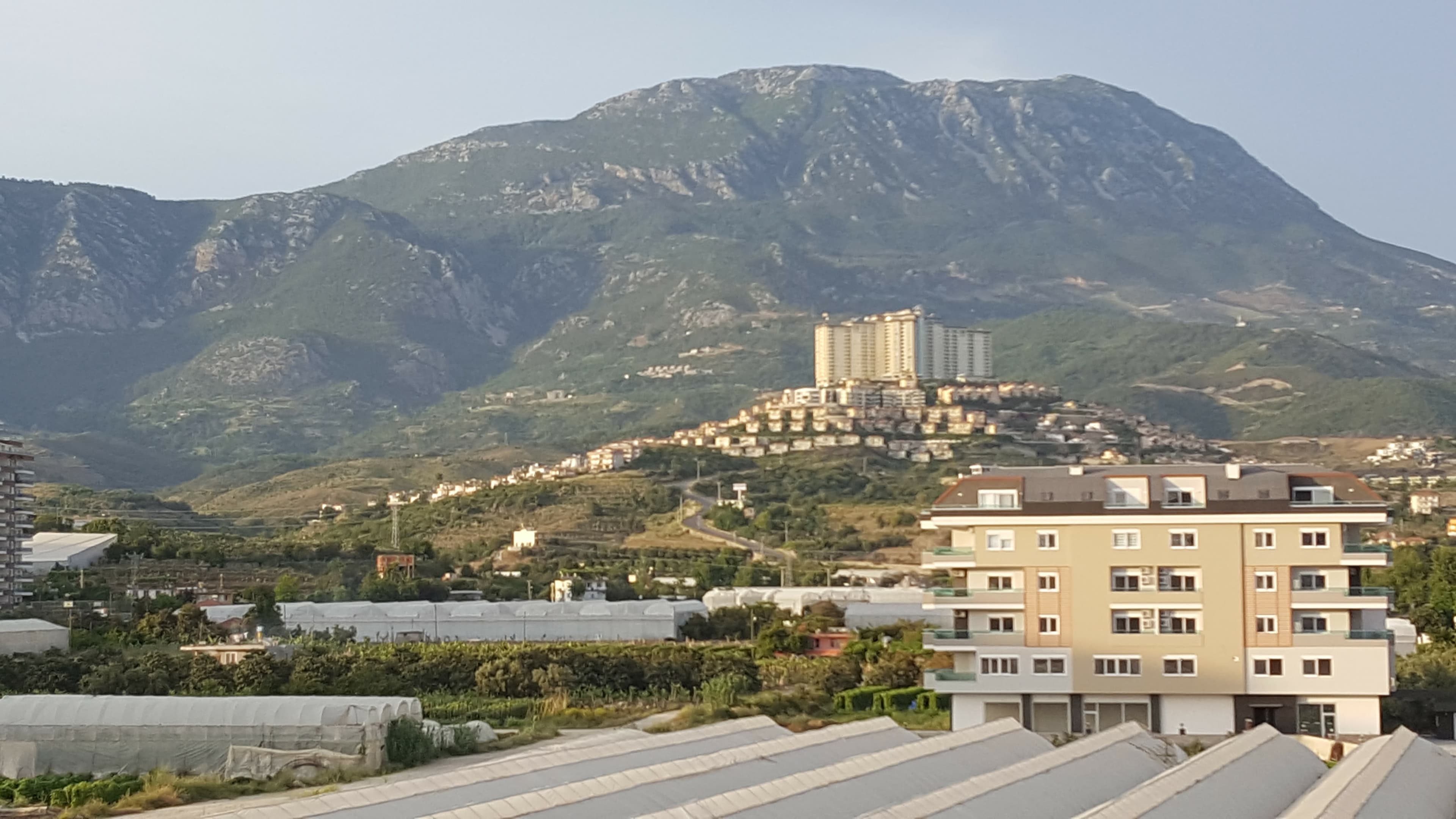 Royal Ideal Beach Hotel - photo 9