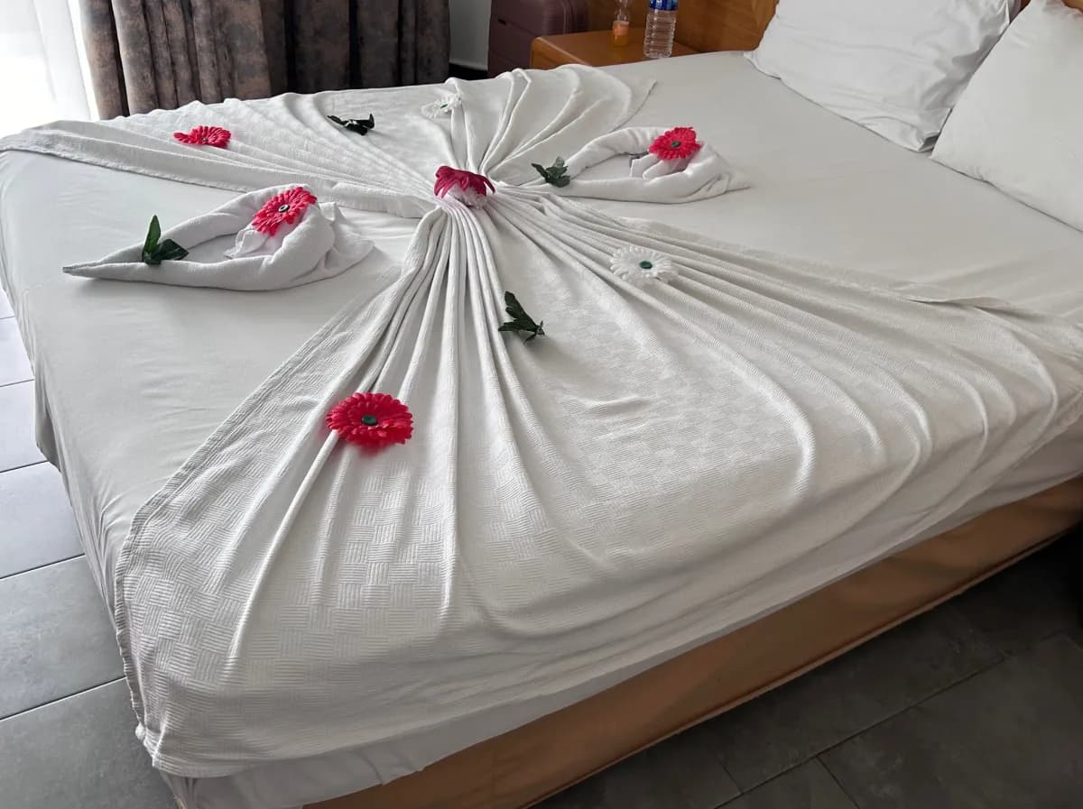 Santana Hotel - photo 5
