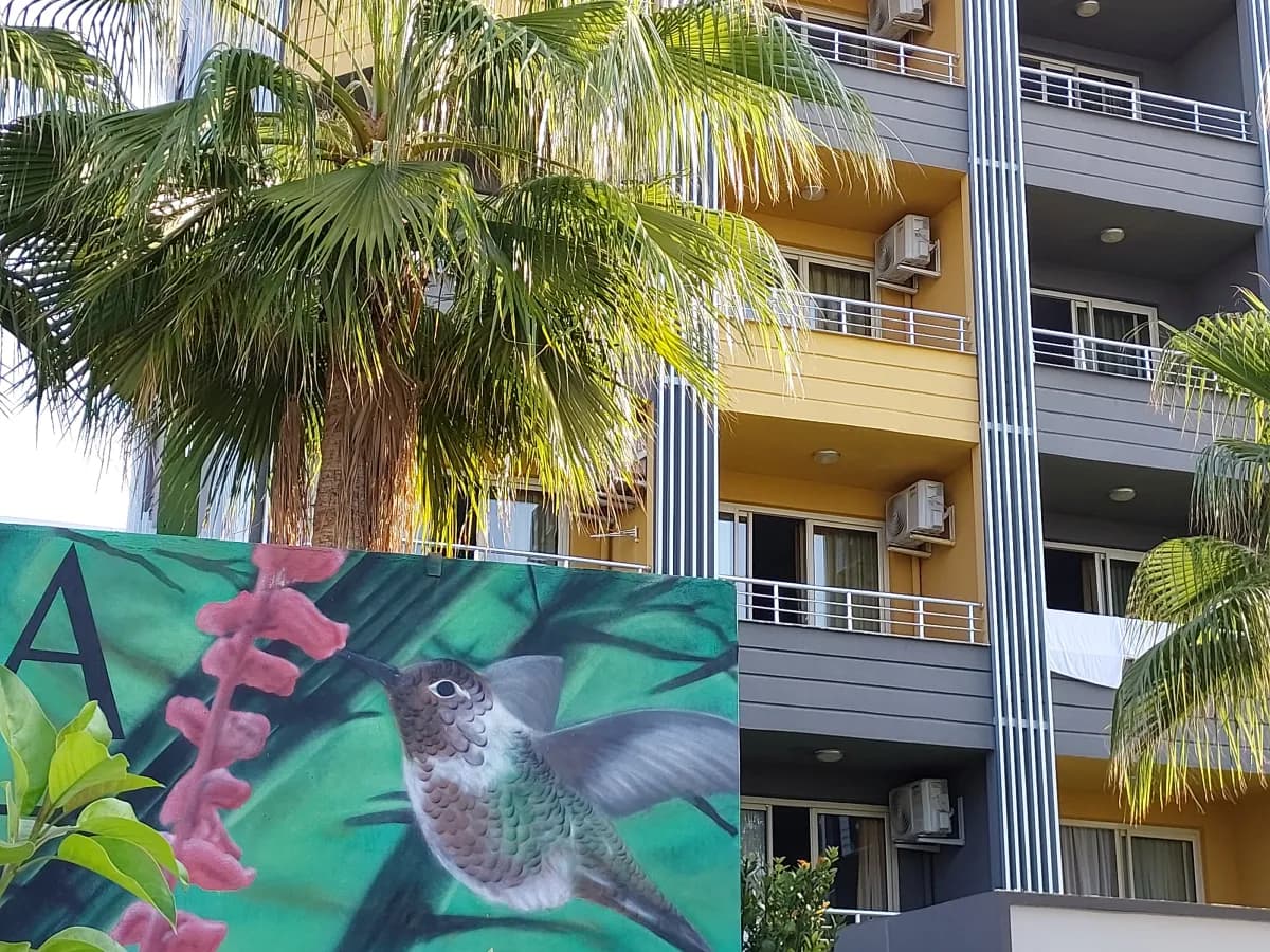 Santana Hotel - photo 9