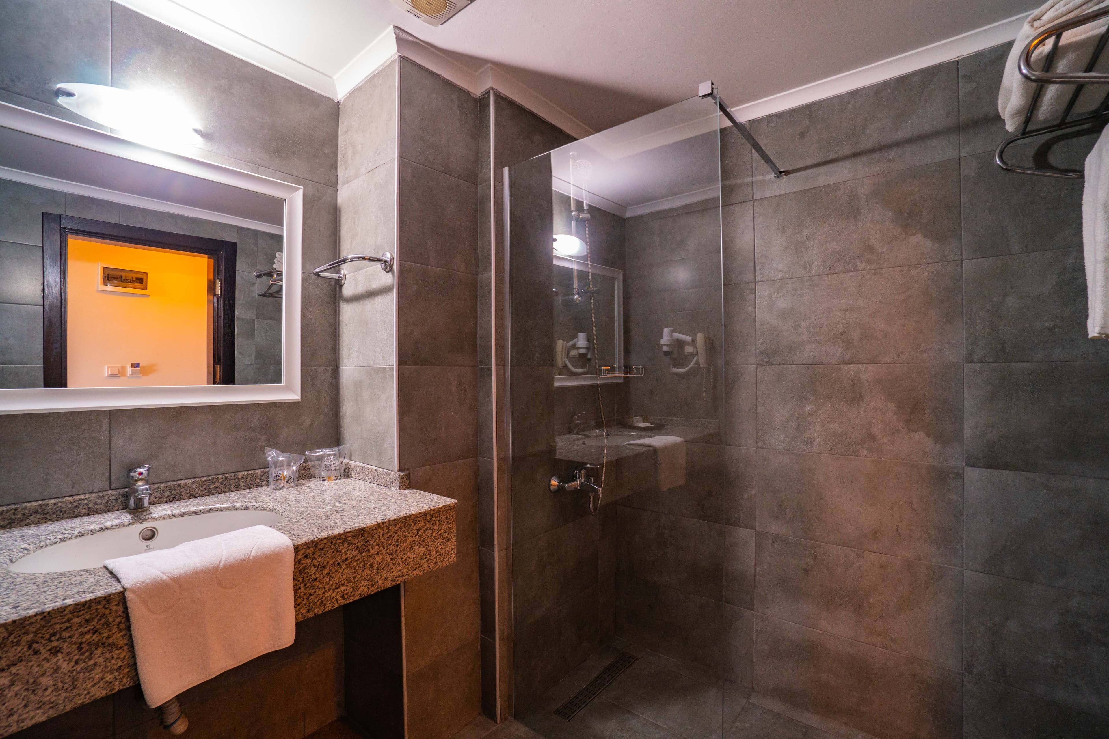 SENZA Grand Santana Hotel - photo 4