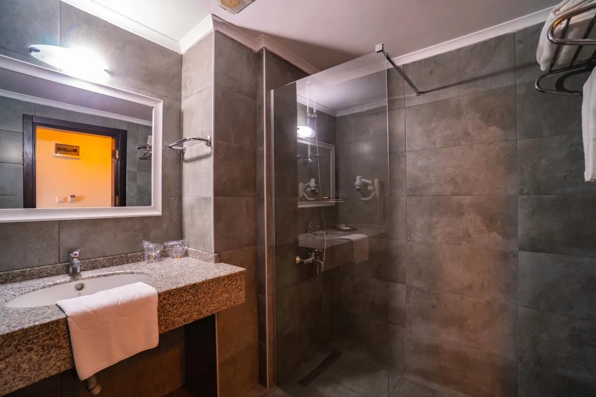 SENZA Grand Santana Hotel - photo 4
