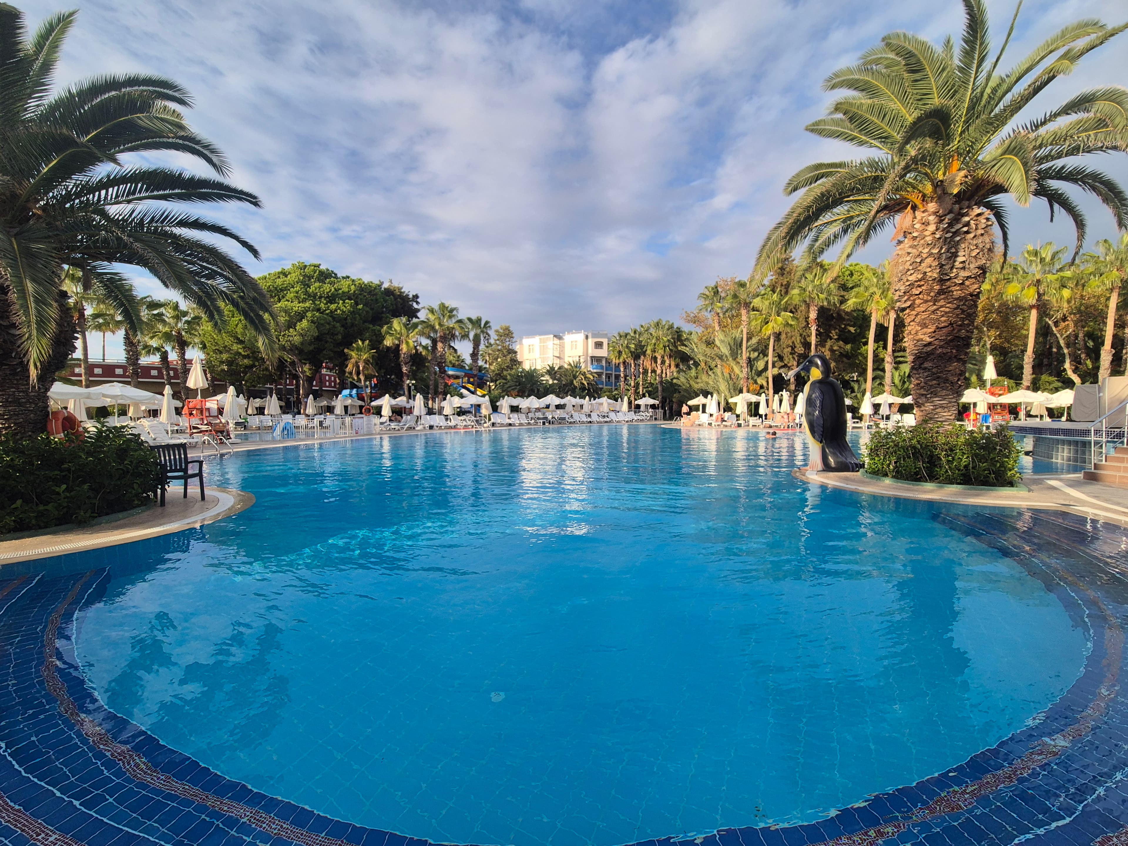 Botanik Hotel - photo 3