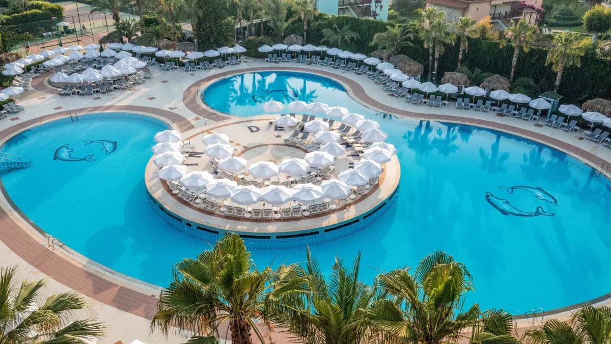 Delphin Deluxe - photo 10