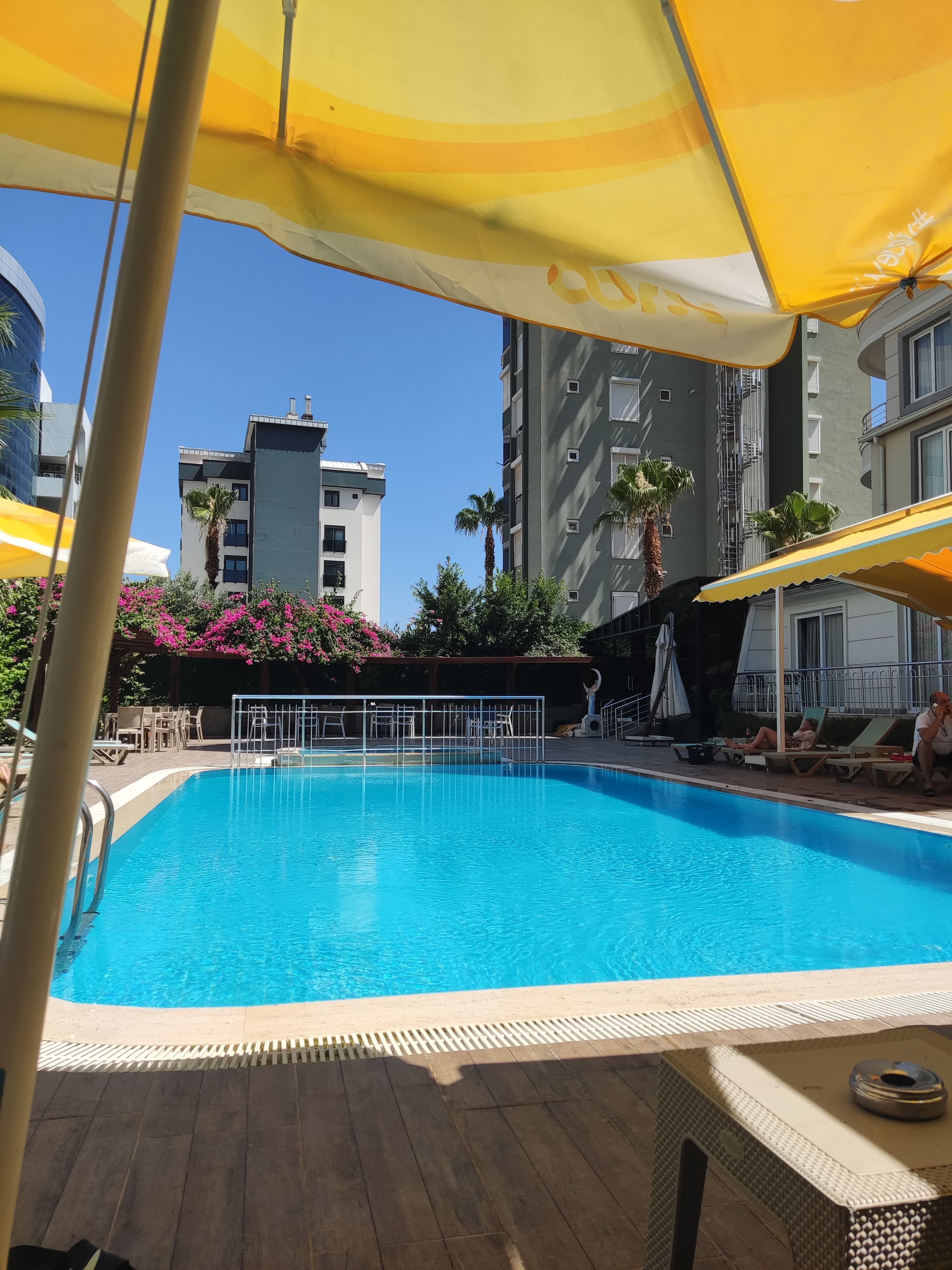 Citrus Park Hotel - photo 3