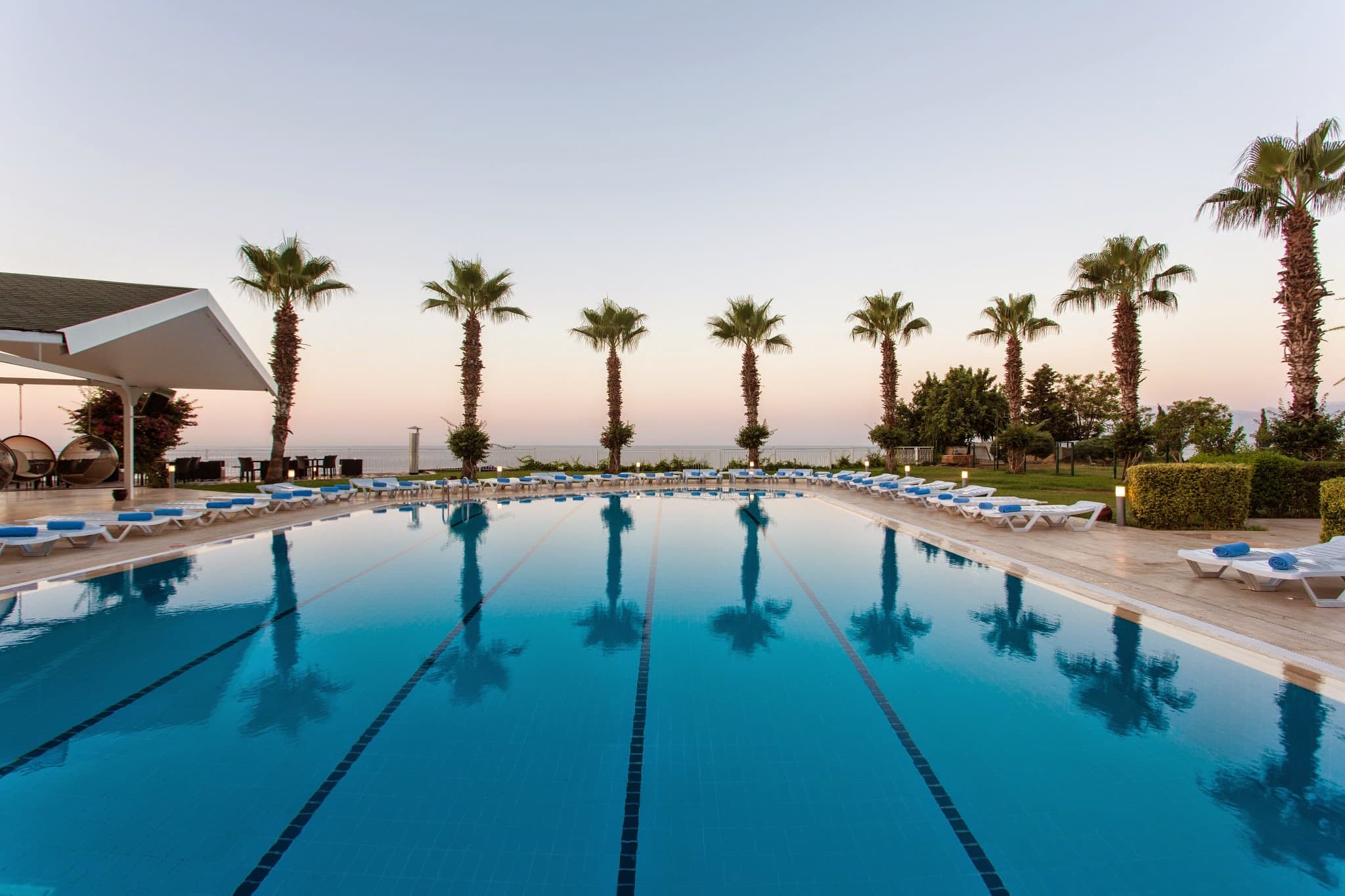 FALCON HOTEL - photo 3