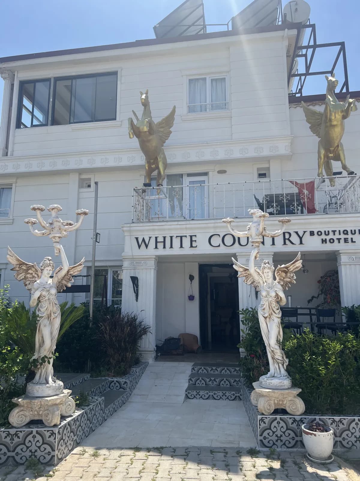 White Country Boutique Hotel - photo 4