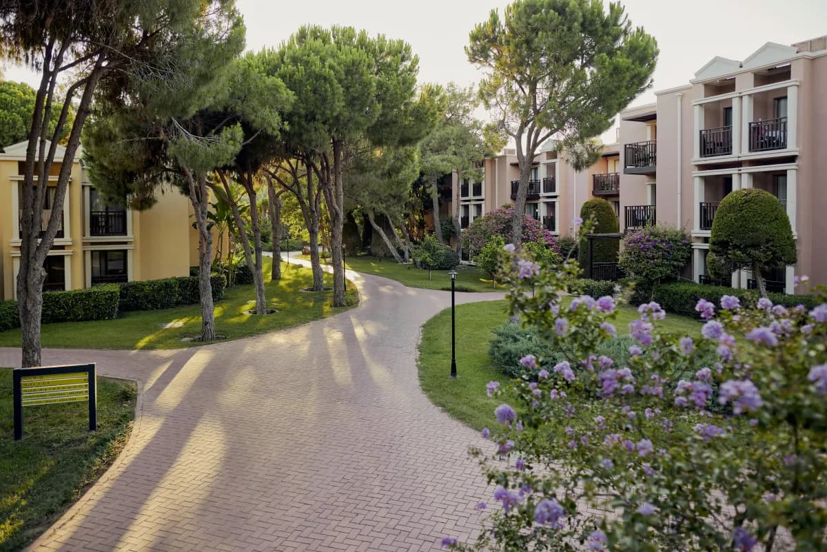 TUI MAGIC LIFE Belek - photo 6