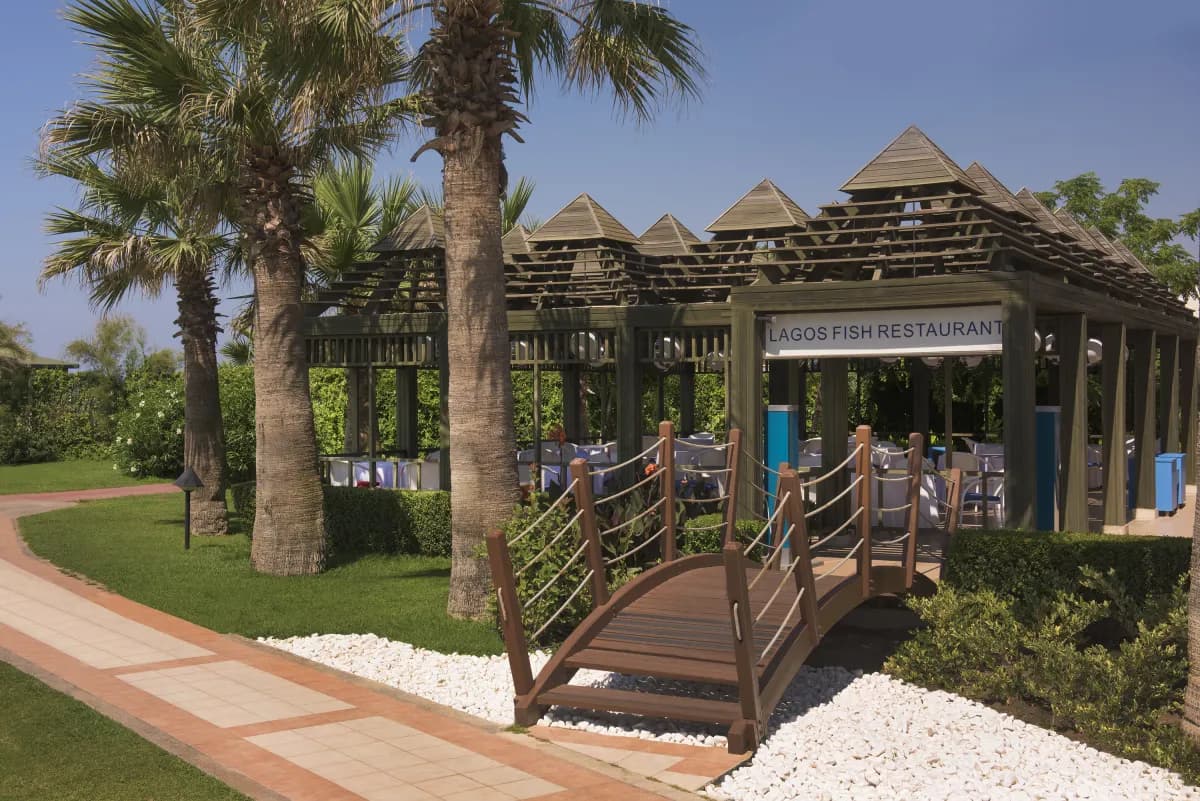 Megasaray Club Belek - photo 8