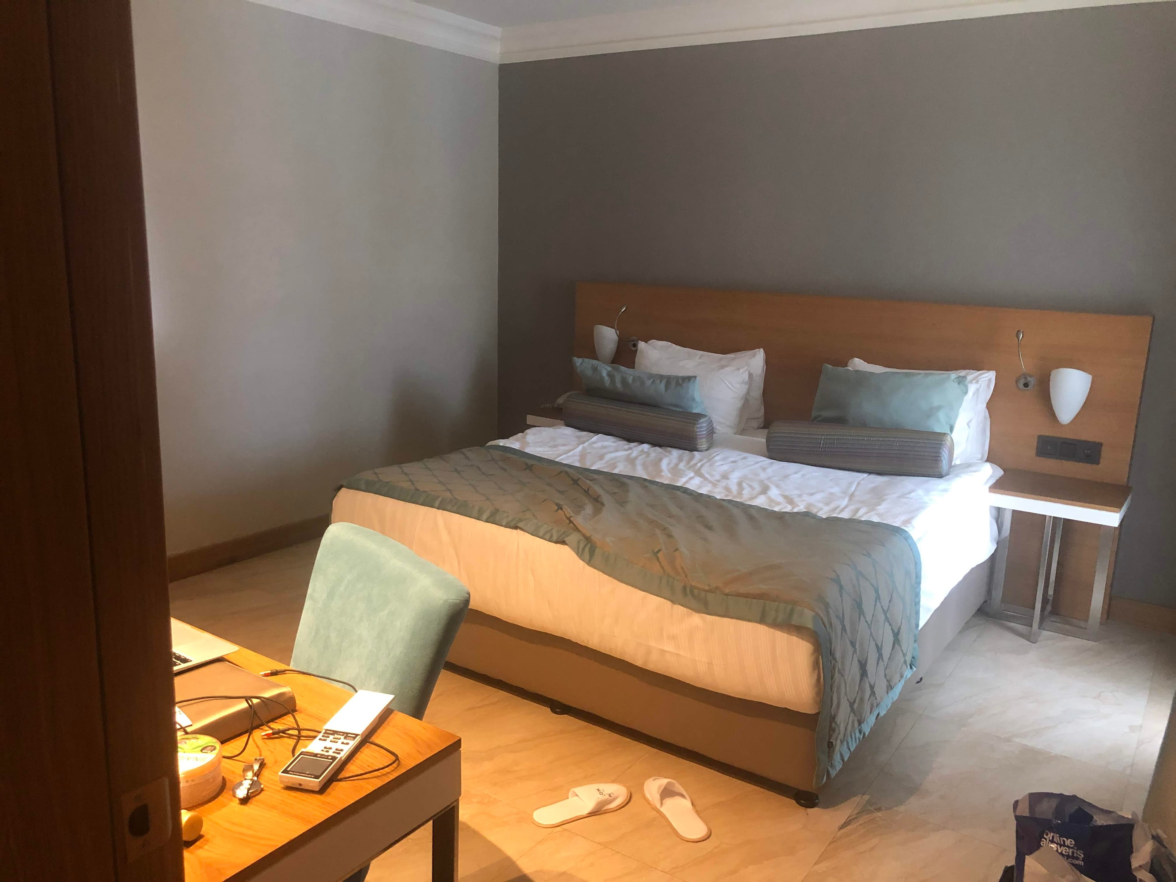 Papillon Ayscha Hotel - photo 2