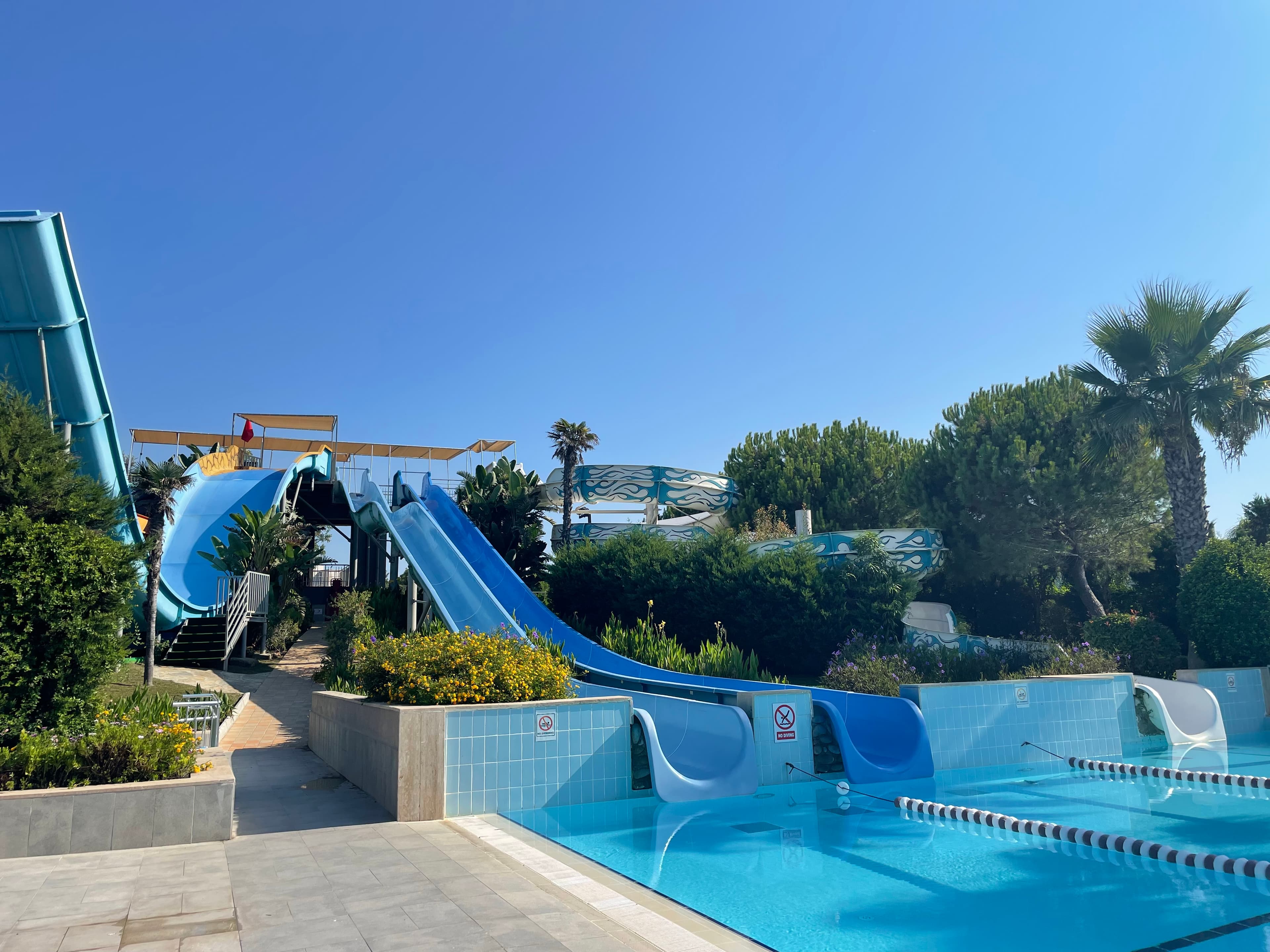 Susesi Luxury Resort - photo 3