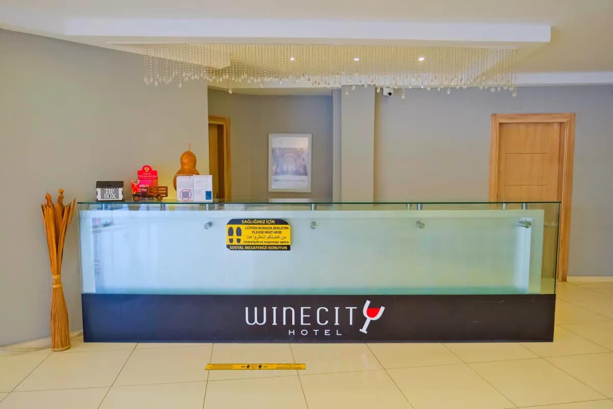 Winecity Hotel - photo 9