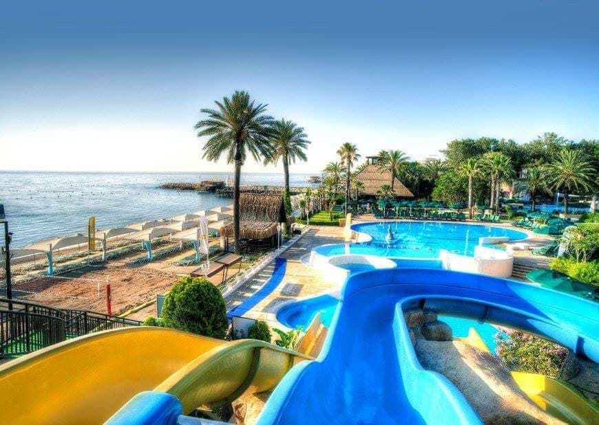 Gypsophila Club Marine - photo 10