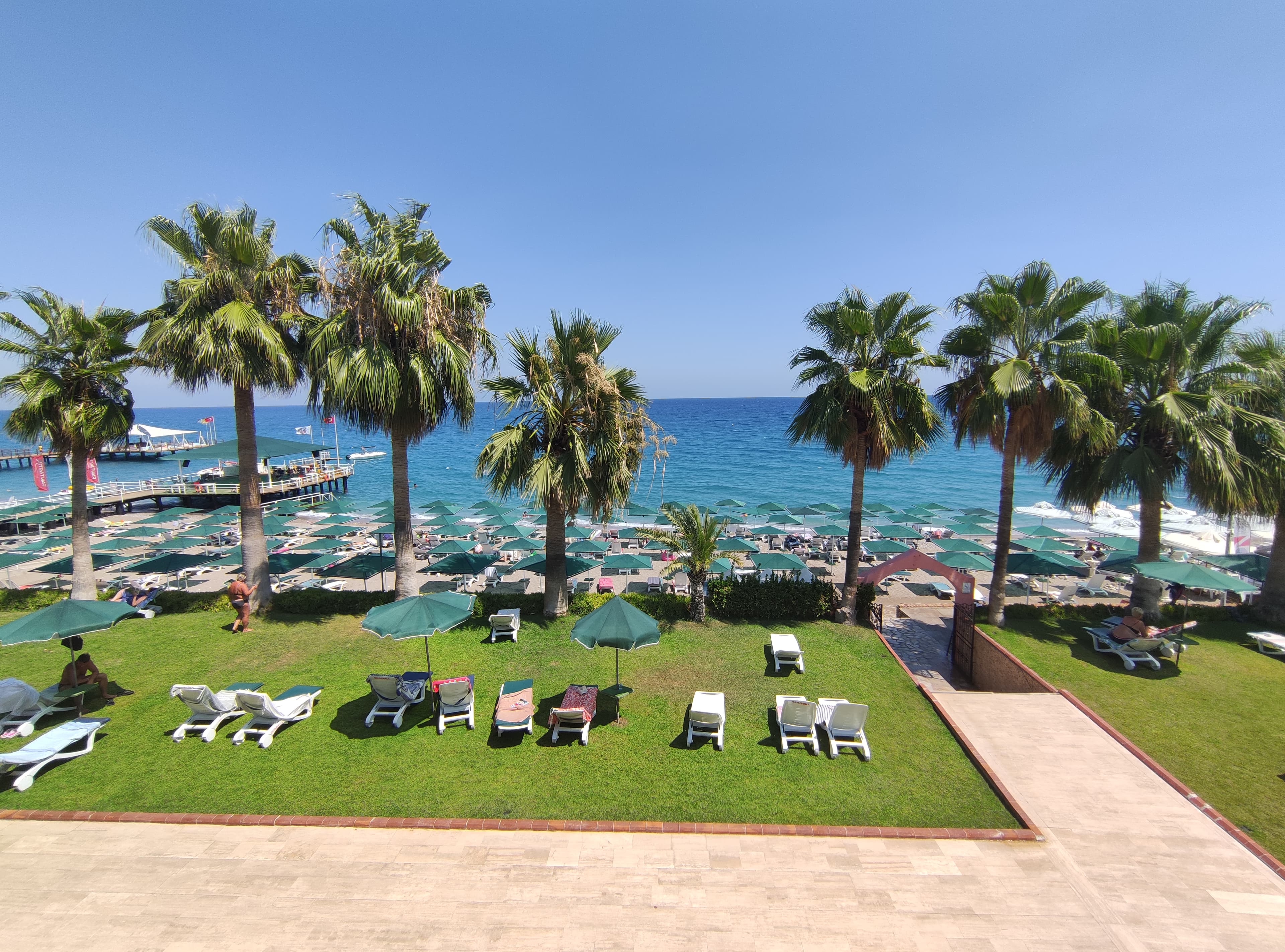 Seagull Hotel - photo 5