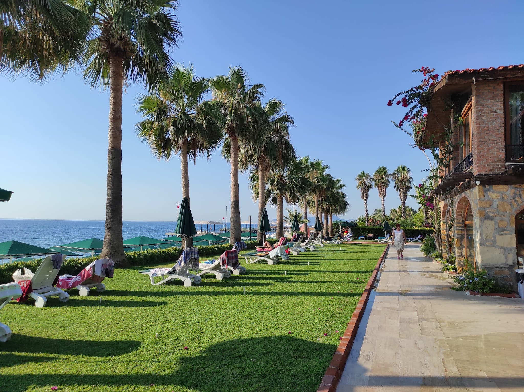Seagull Hotel - photo 10