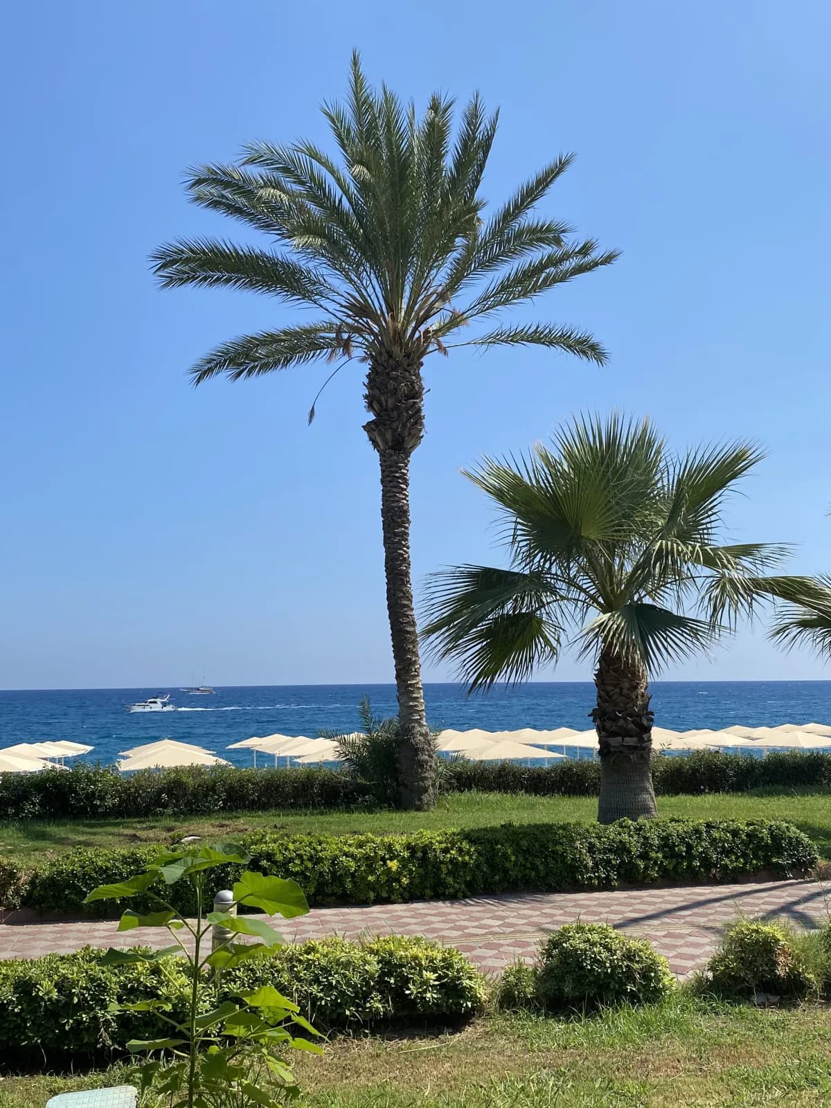 Asdem Beach Labada Hotel - photo 8