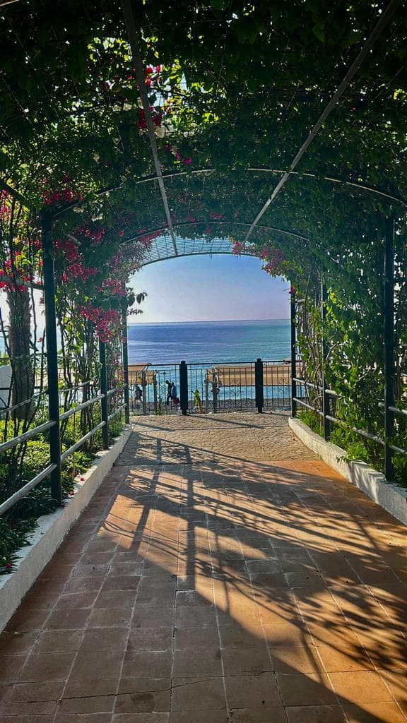 MG Club Akman Beach Hotel - photo 4