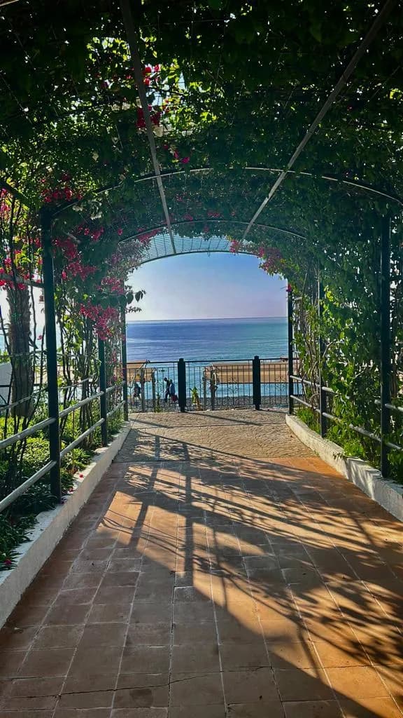 MG Club Akman Beach Hotel - photo 4