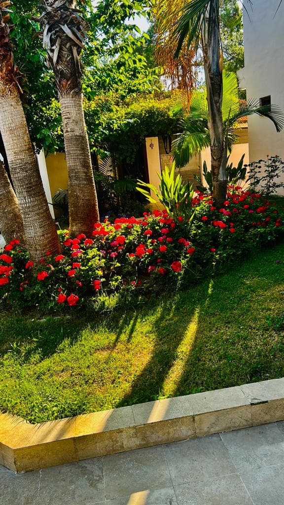 MG Club Akman Beach Hotel - photo 8