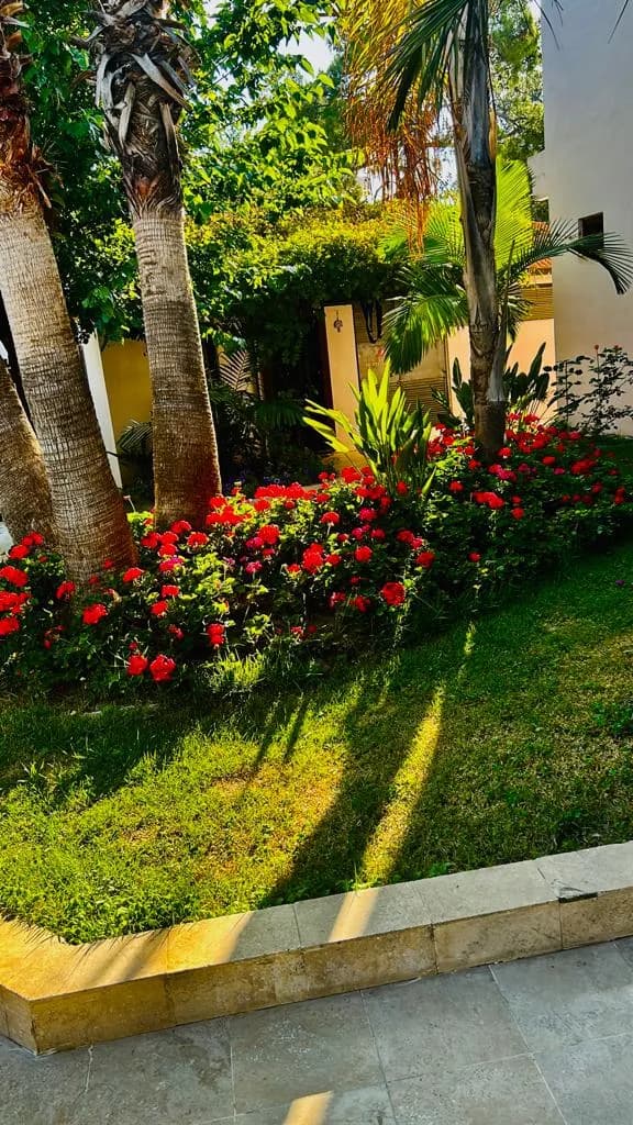 MG Club Akman Beach Hotel - photo 8