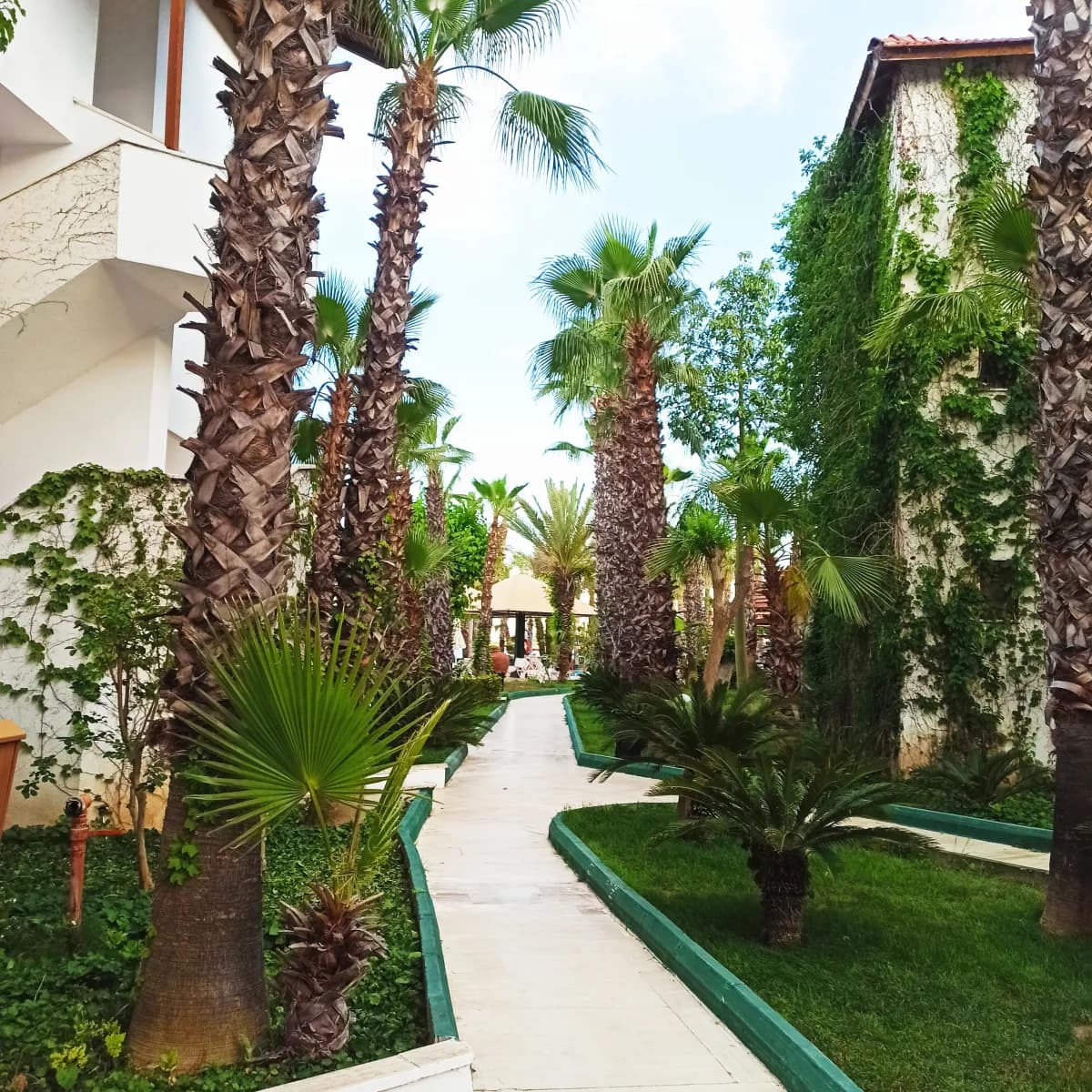 Marvida Hotel Akman Park - photo 9