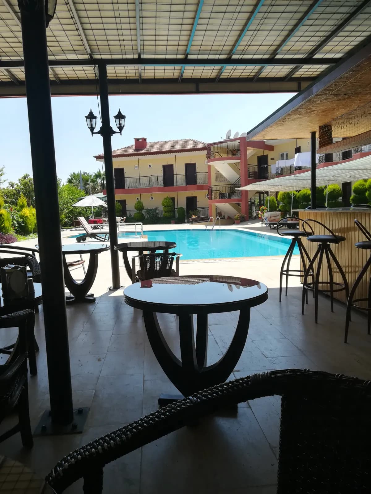 Las Palmeras Hotel - photo 7
