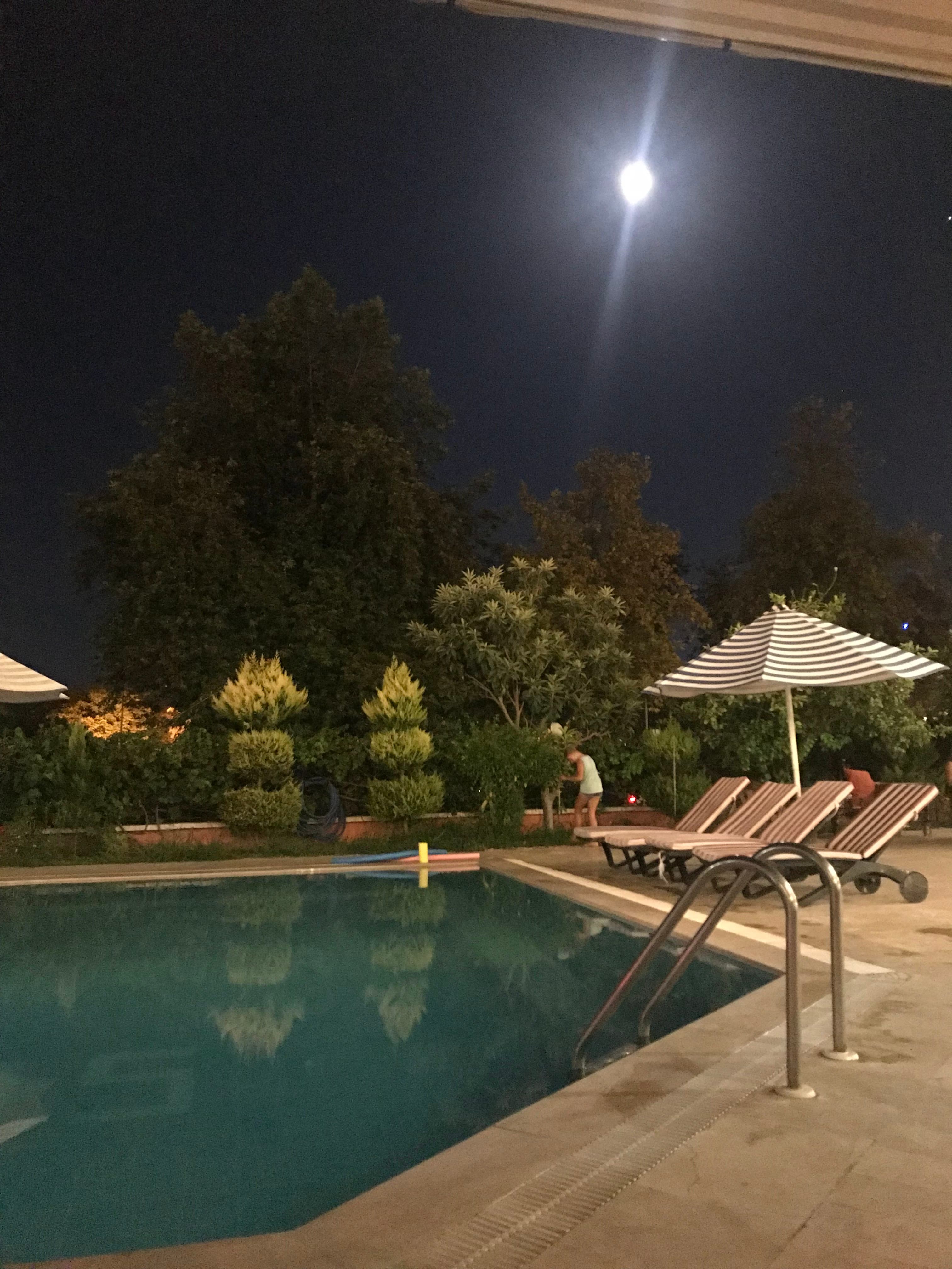 Las Palmeras Hotel - photo 10