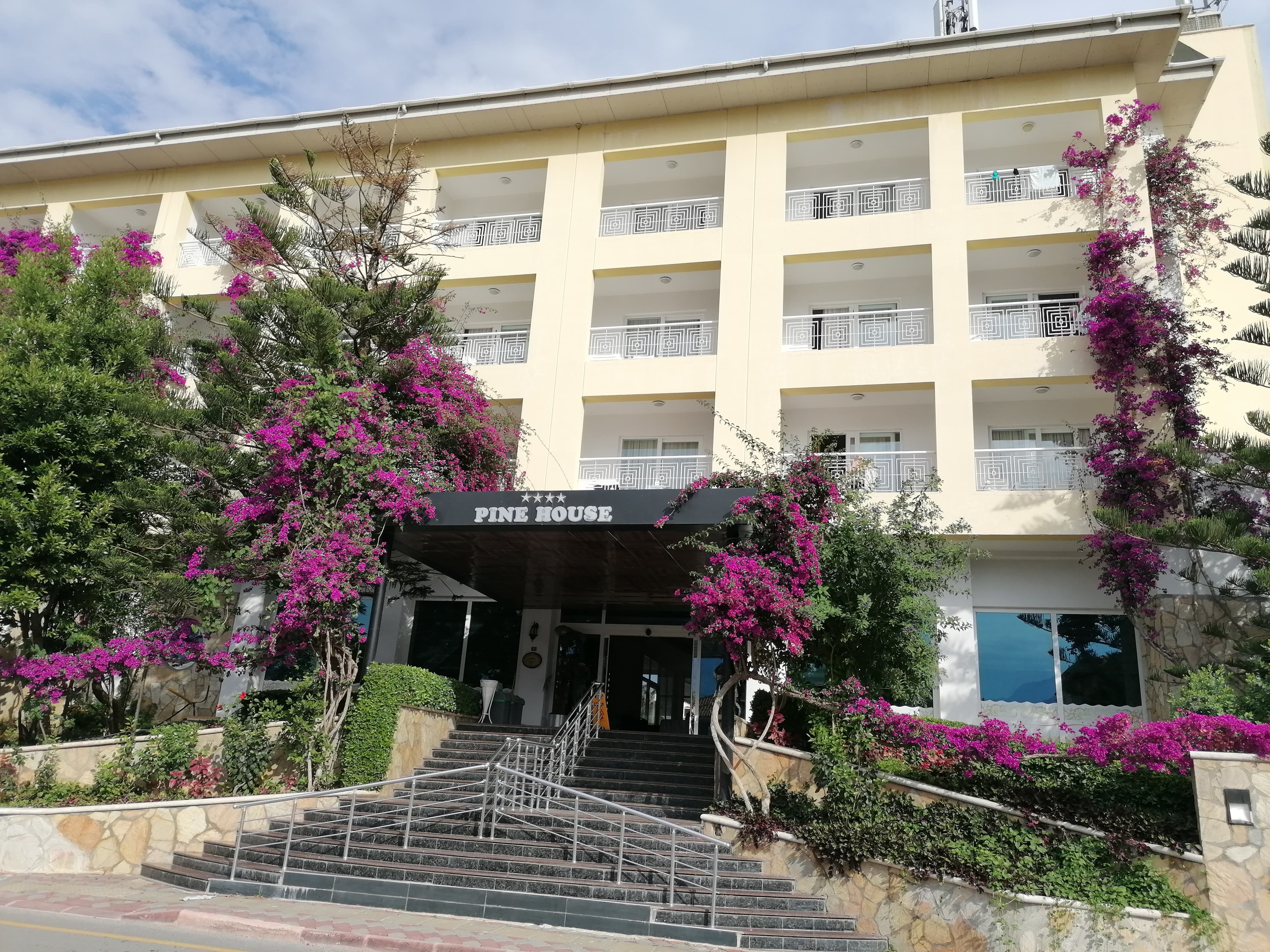 Pine House Hotel - photo 7