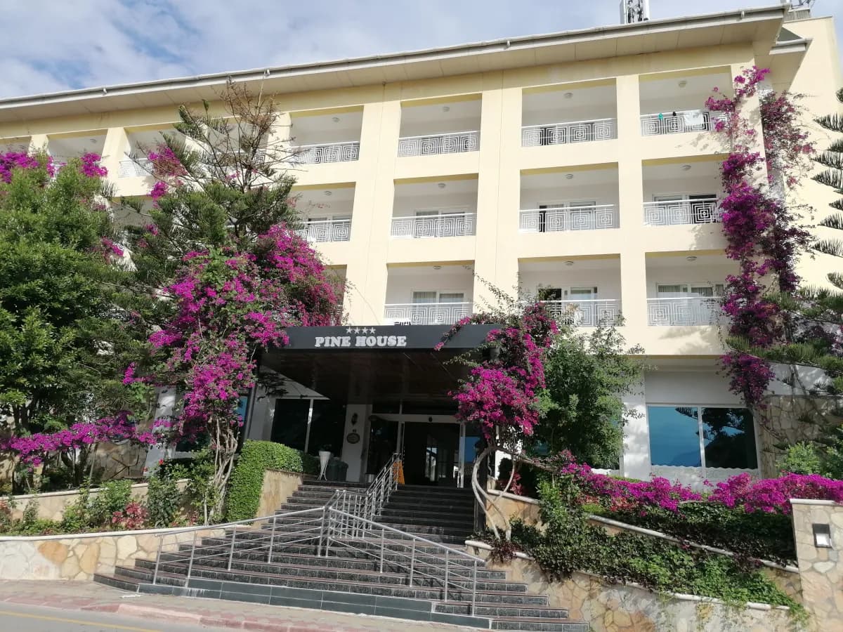 Pine House Hotel - photo 7