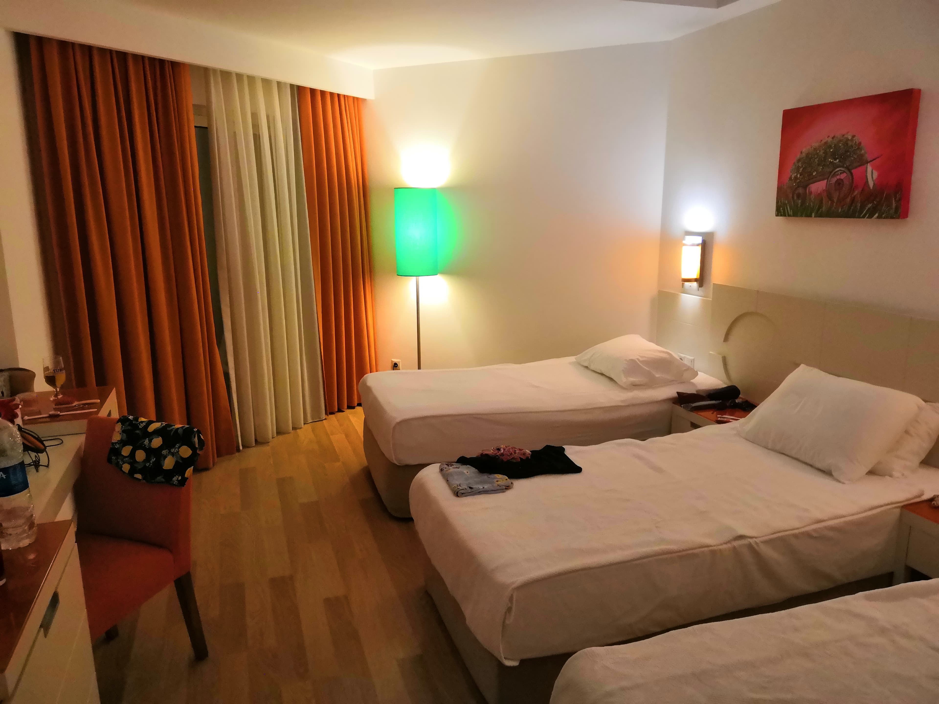Zena Resort Hotel - photo 2