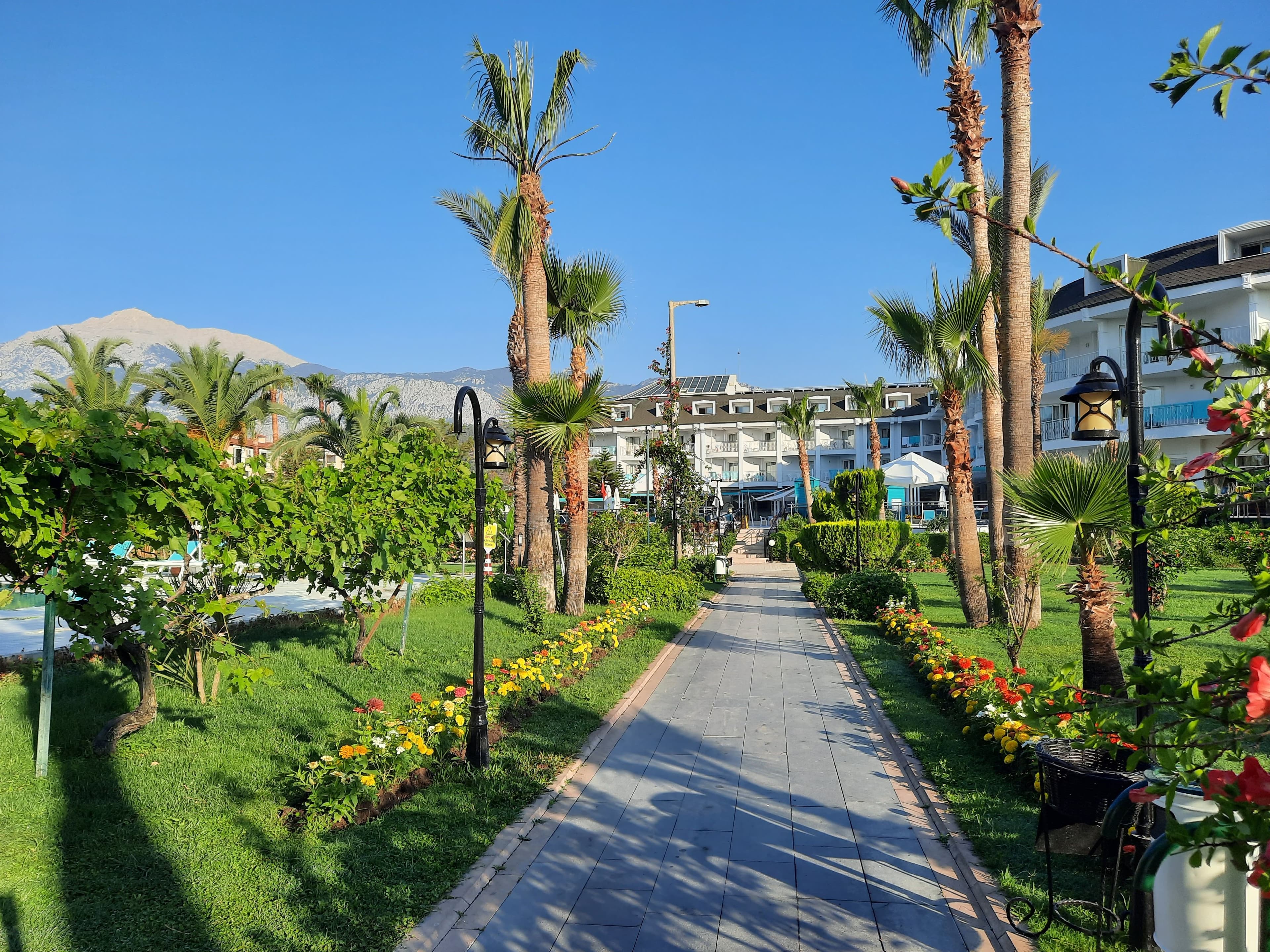 Zena Resort Hotel - photo 9