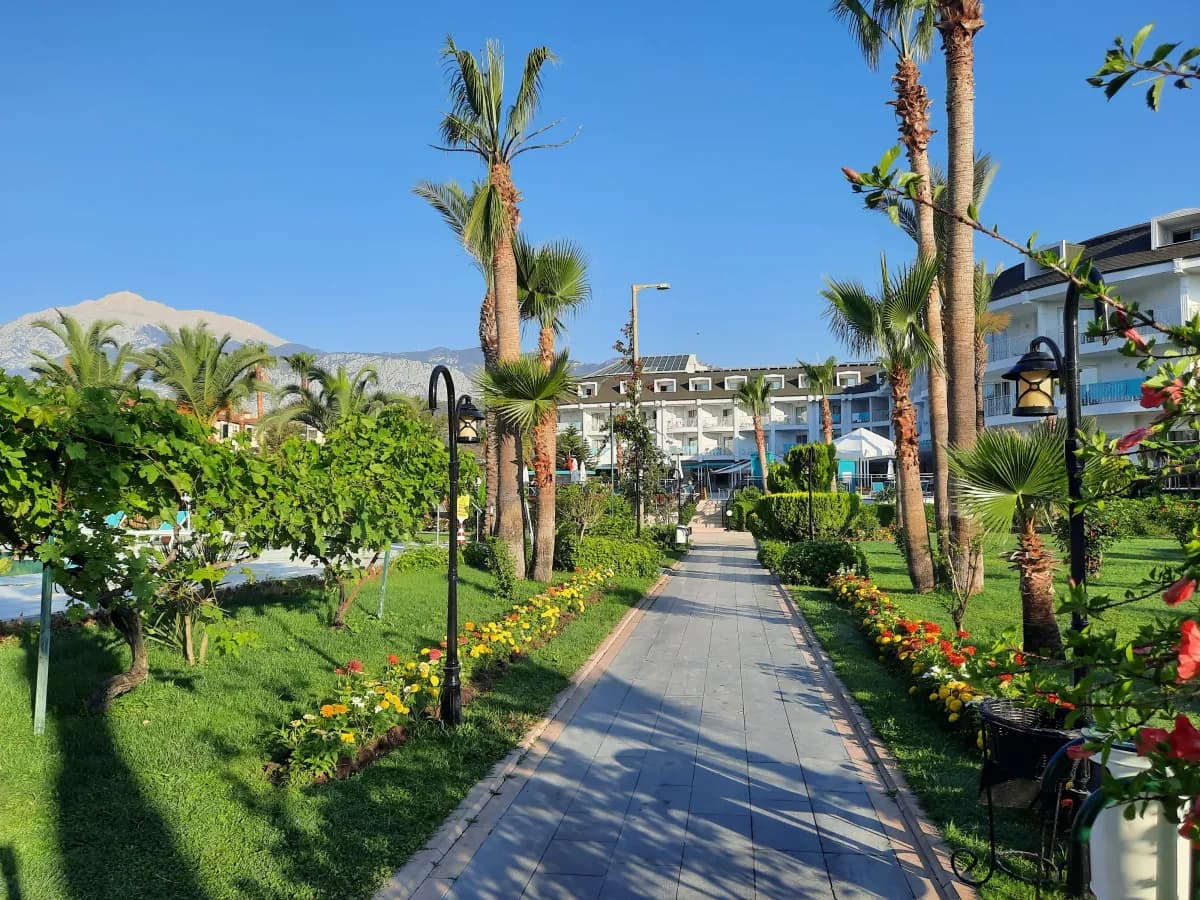 Zena Resort Hotel - photo 9