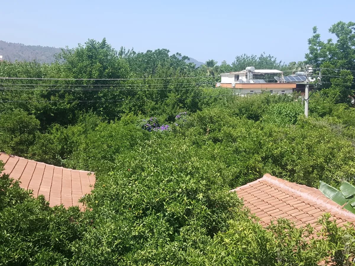 Grand Aygun Hotel - photo 7
