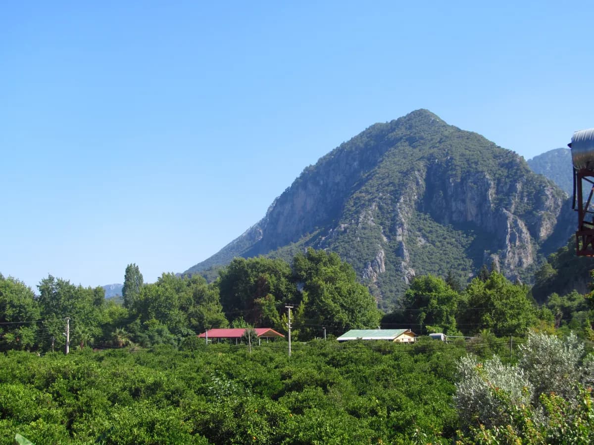 Grand Aygun Hotel - photo 10