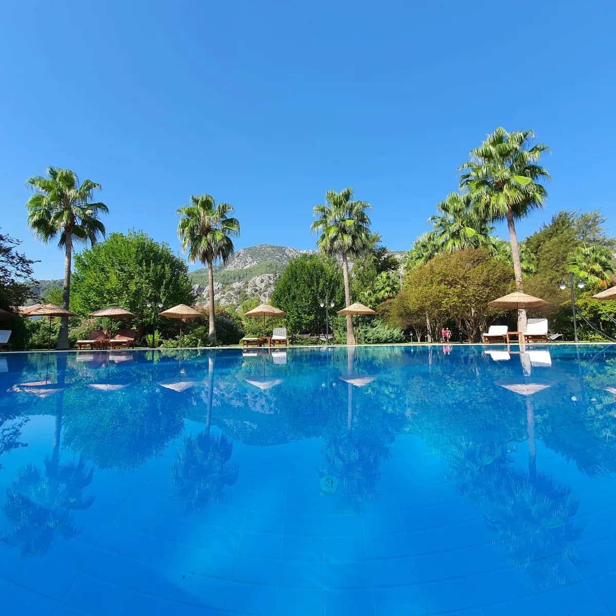 Odile Hotel - photo 2