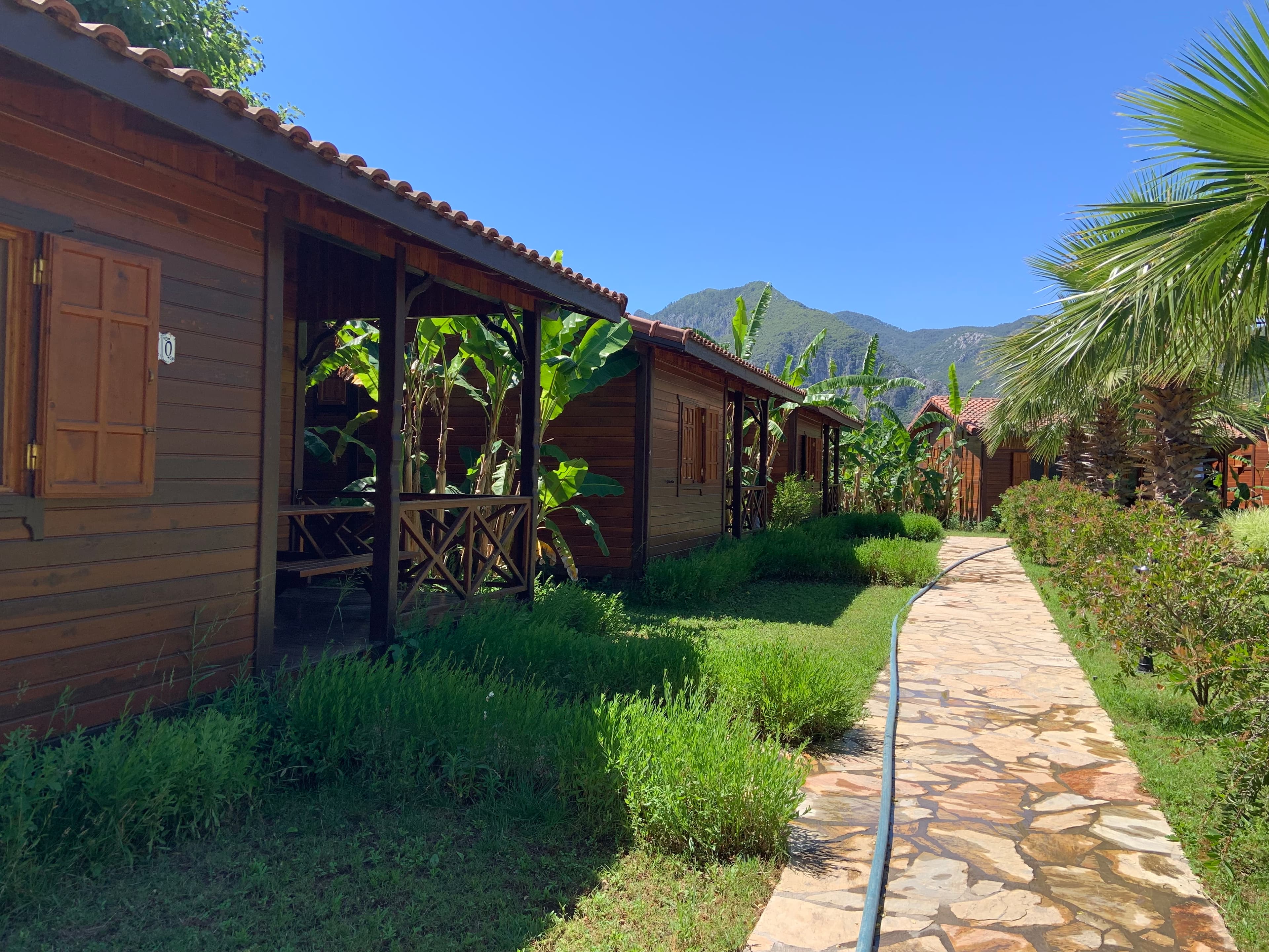 Odile Hotel - photo 5