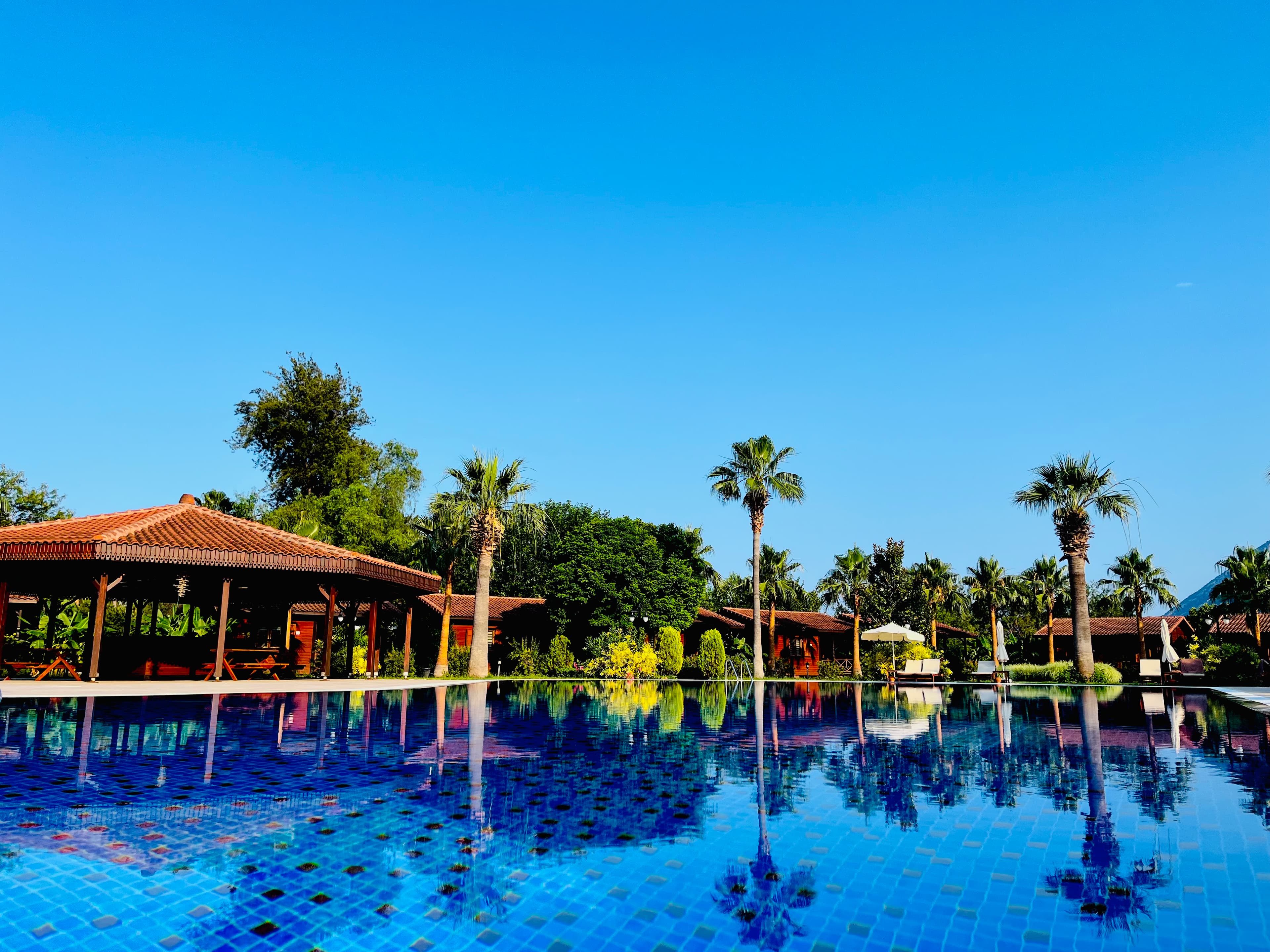 Odile Hotel - photo 6